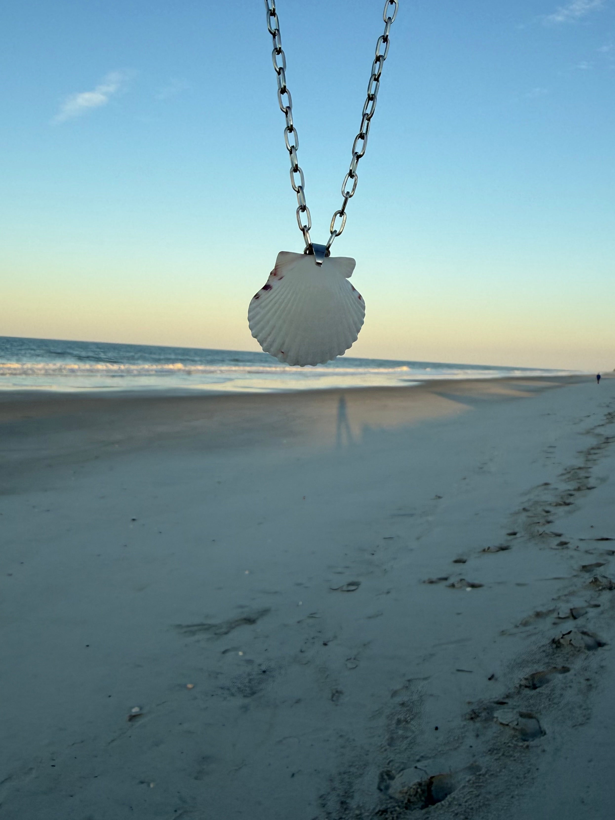 White Scallop, Silver Chain Necklace