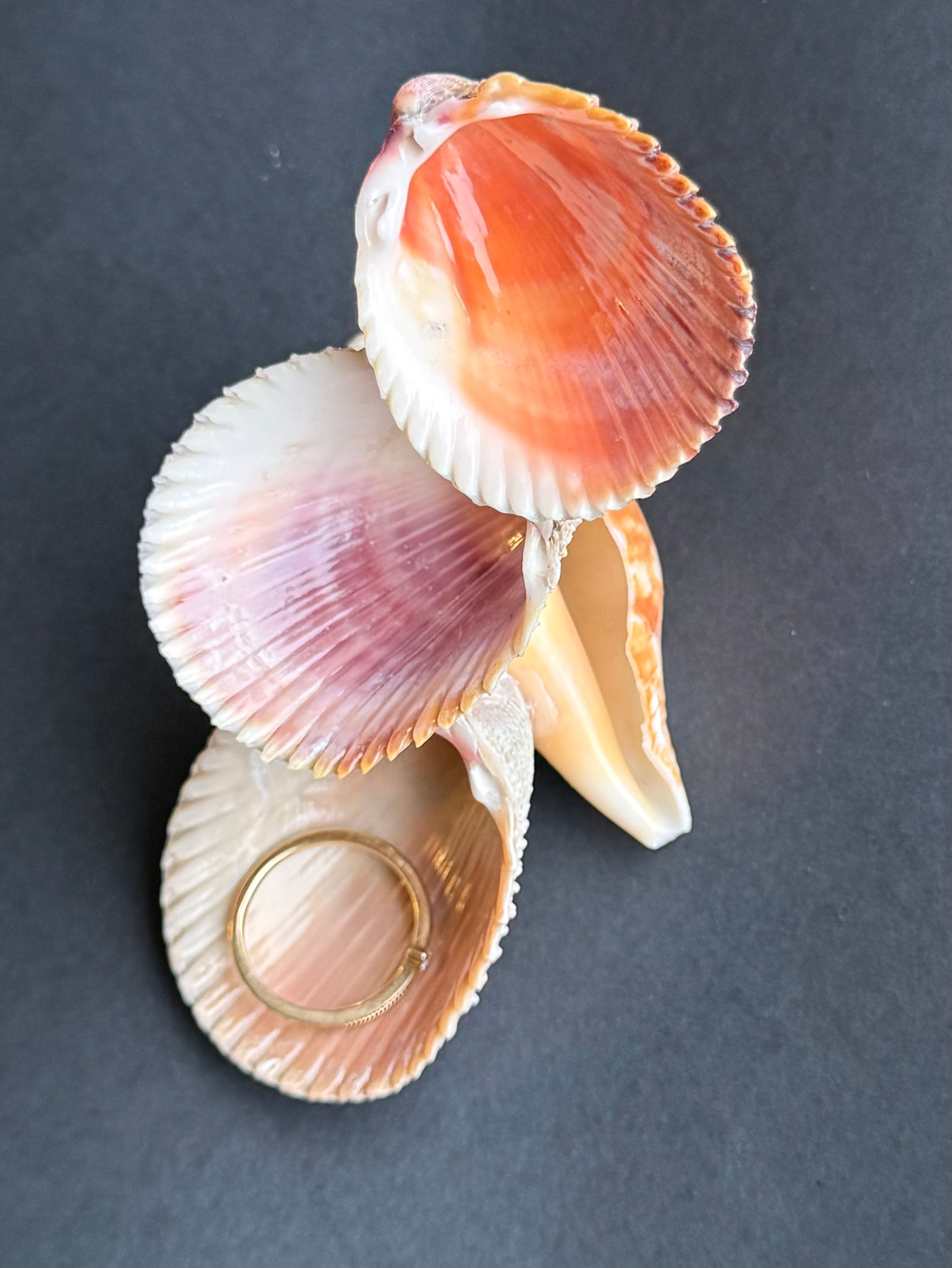 Color Shell Cascade