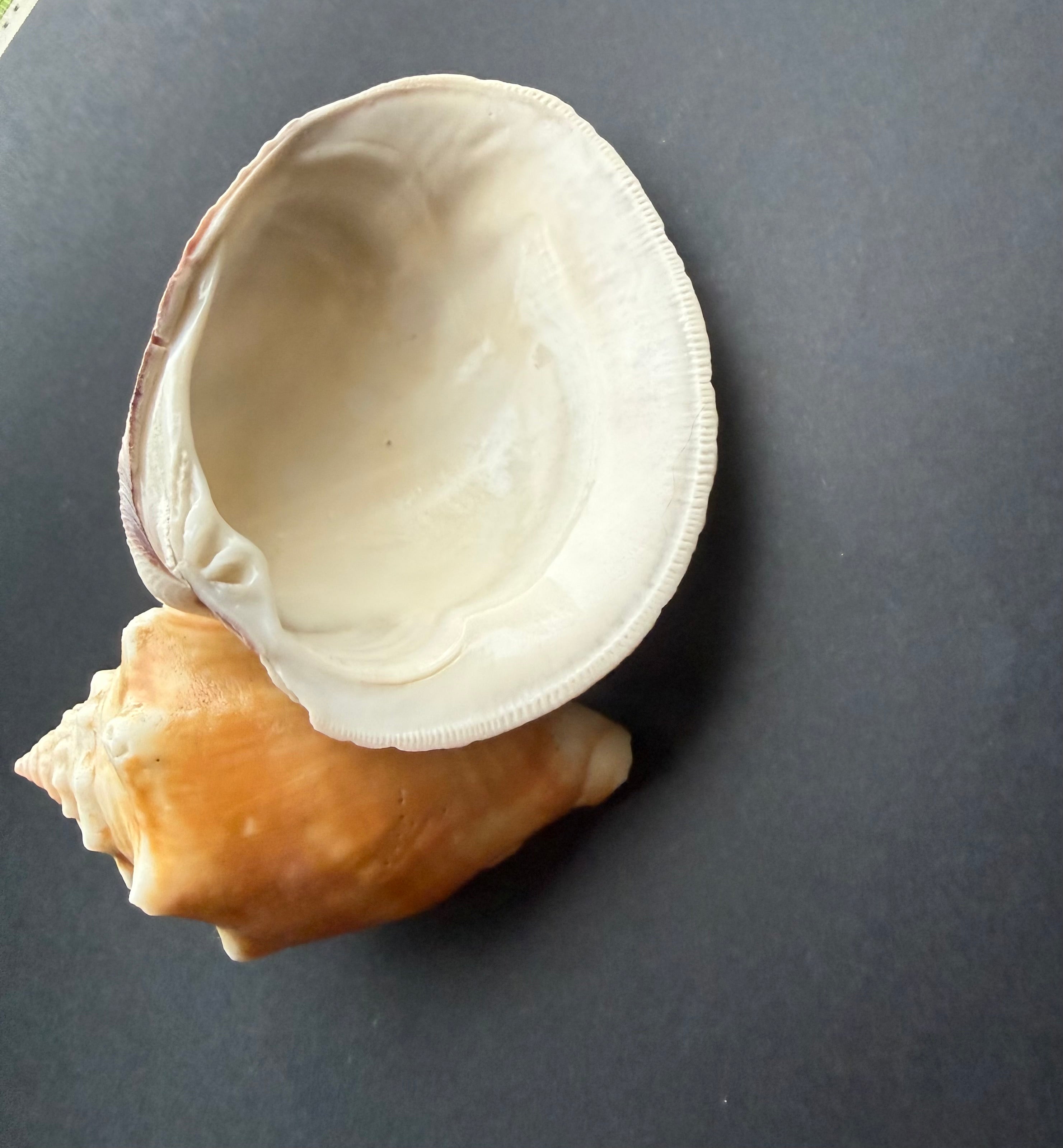 Simple Shell