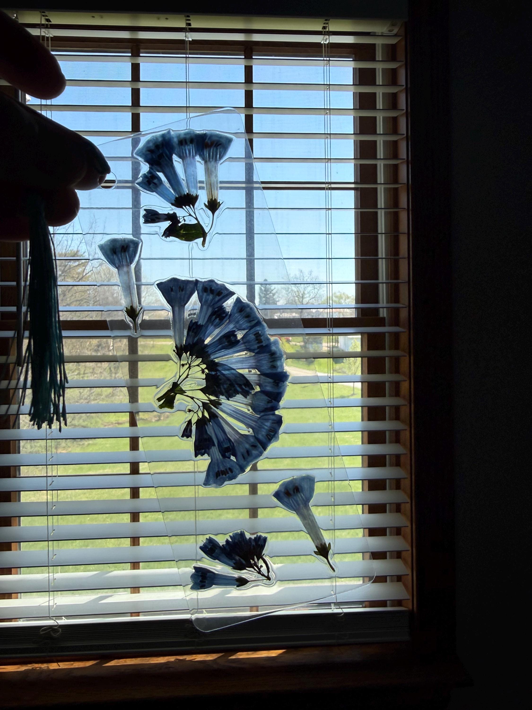 Flower Bookmarks - Blue Bell Pressed Flowers
