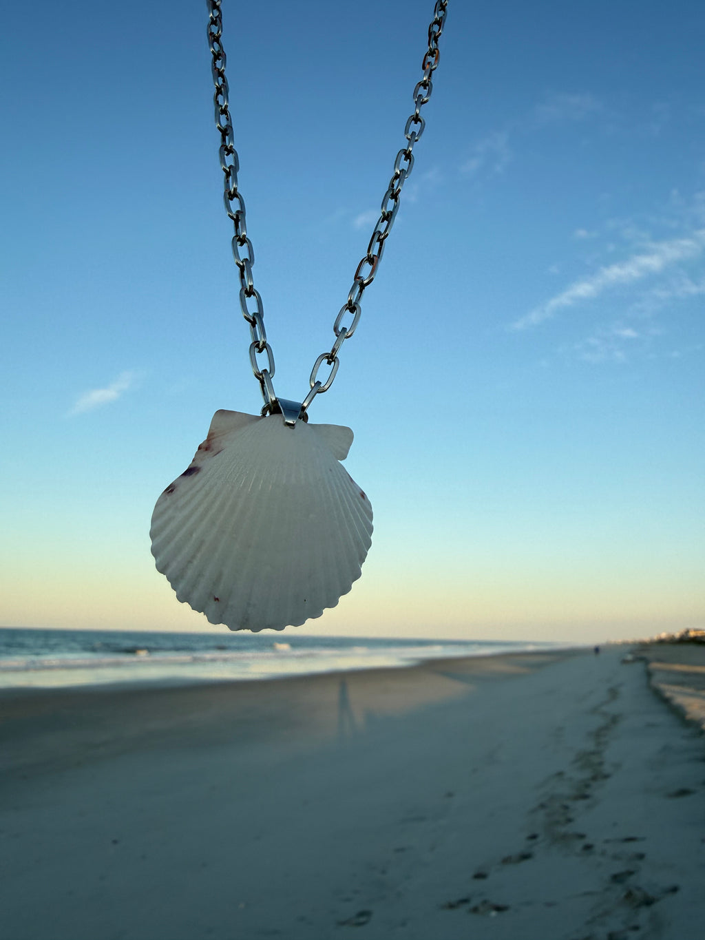 White Scallop, Silver Chain Necklace