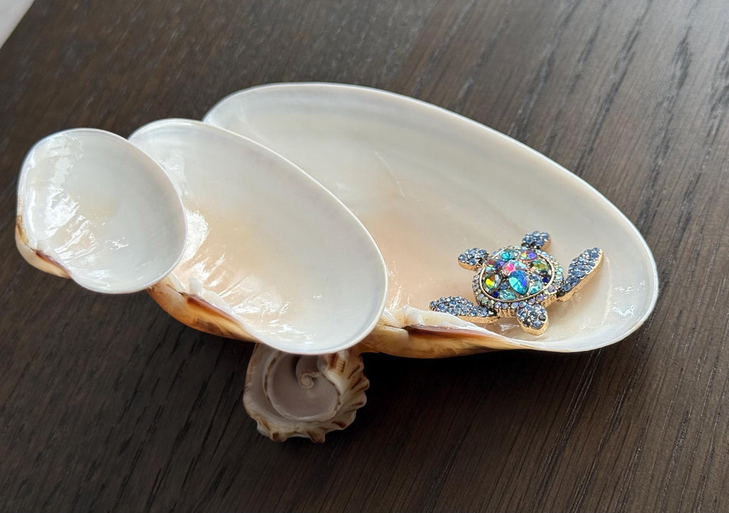 Shell Cascading Ring Holder- Turtle optional
