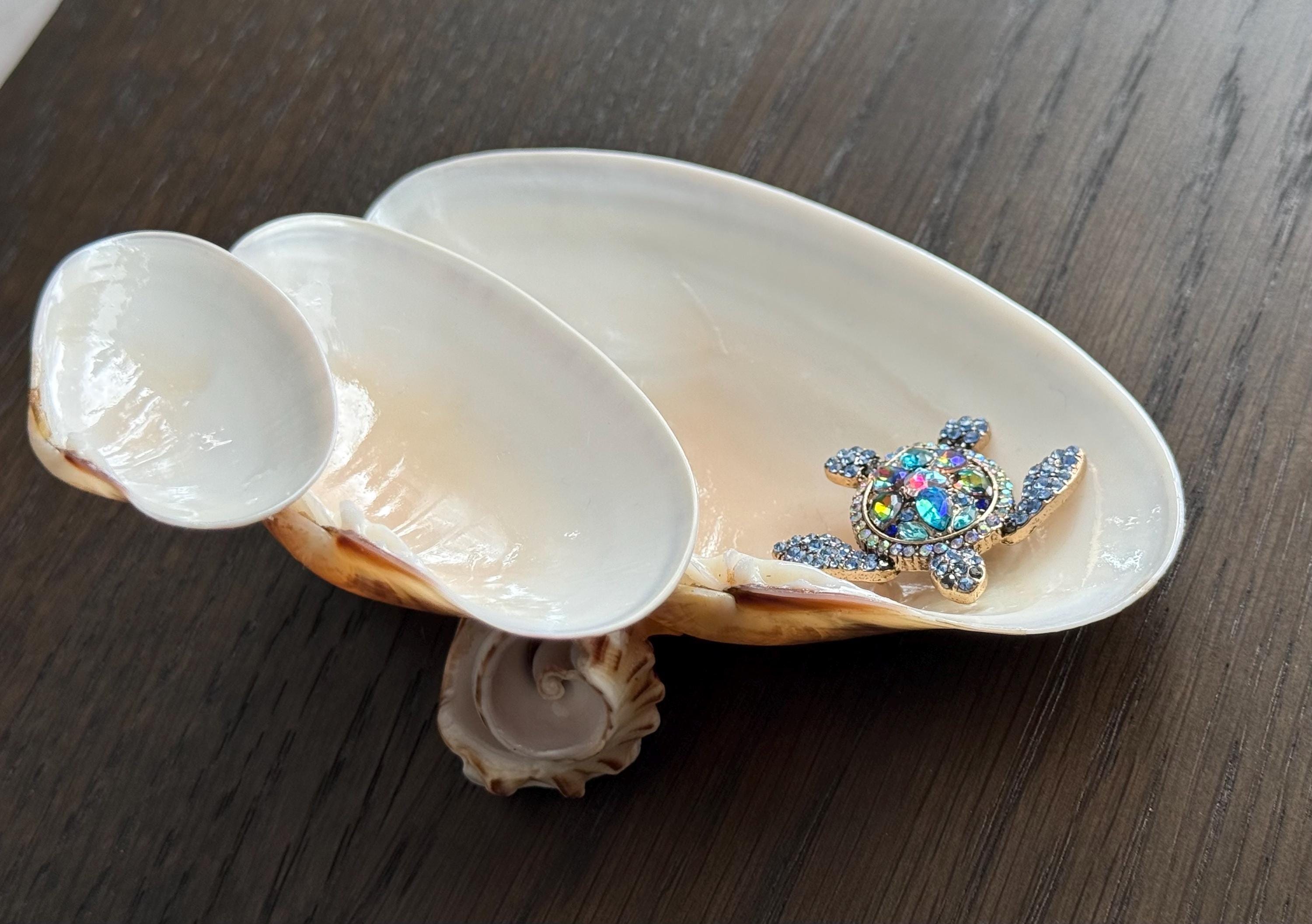 Shell Cascading Ring Holder- Turtle optional