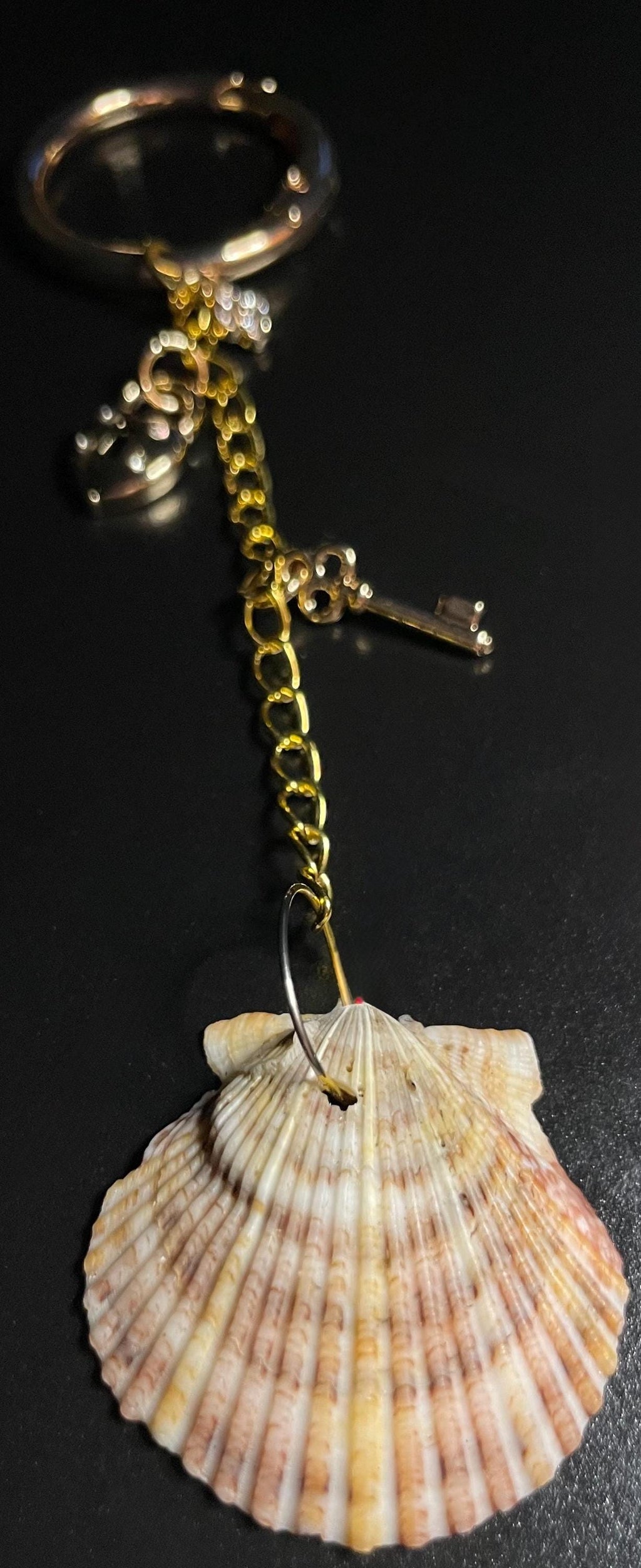 Lock and Key - Authentic Scallop Shell, Bag Charm or Key Chain
