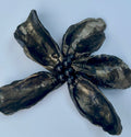 Black Pearl