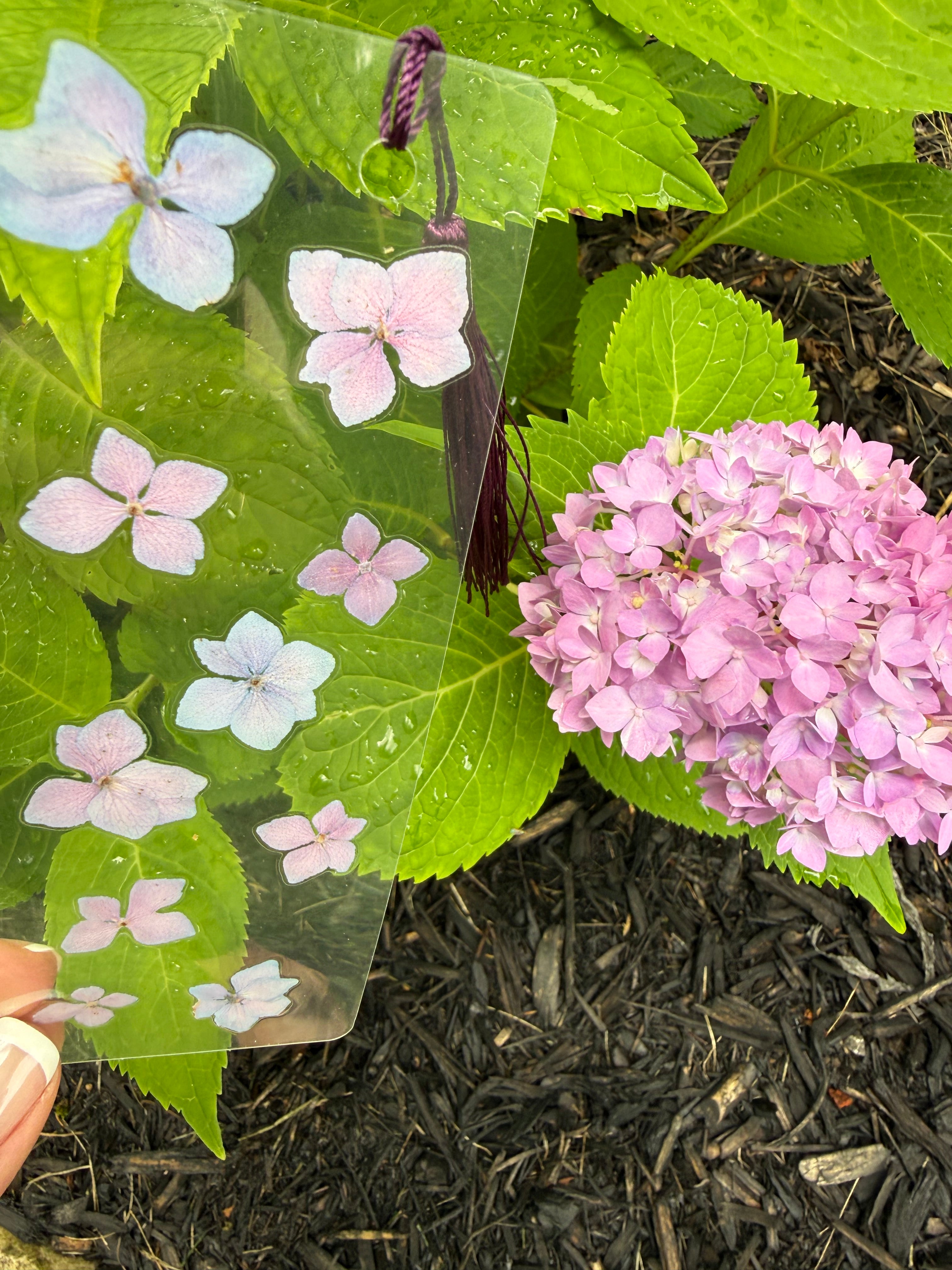 Hydrangea Flowers ~ flower bookmark