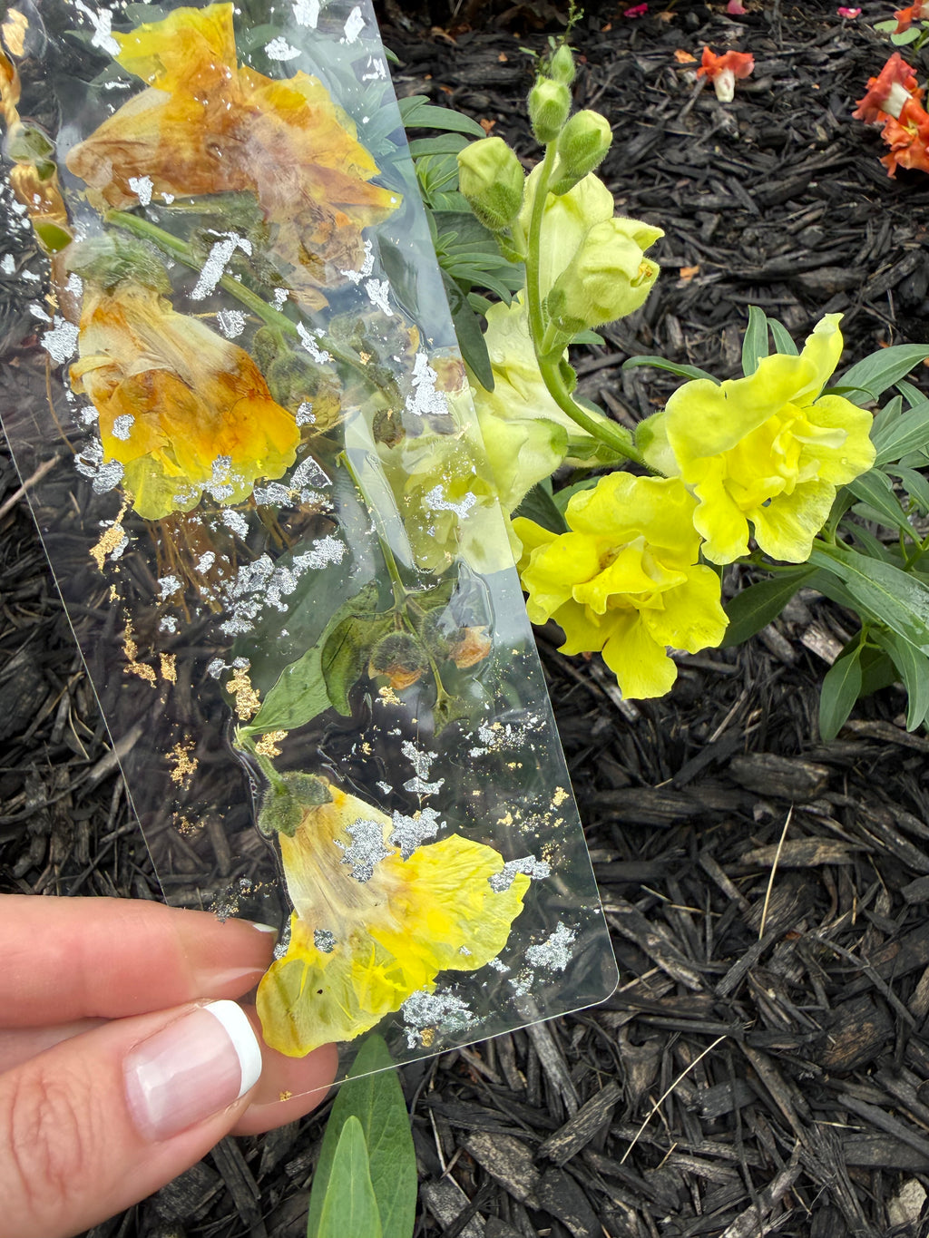 Yellow Snapdragon Bookmark