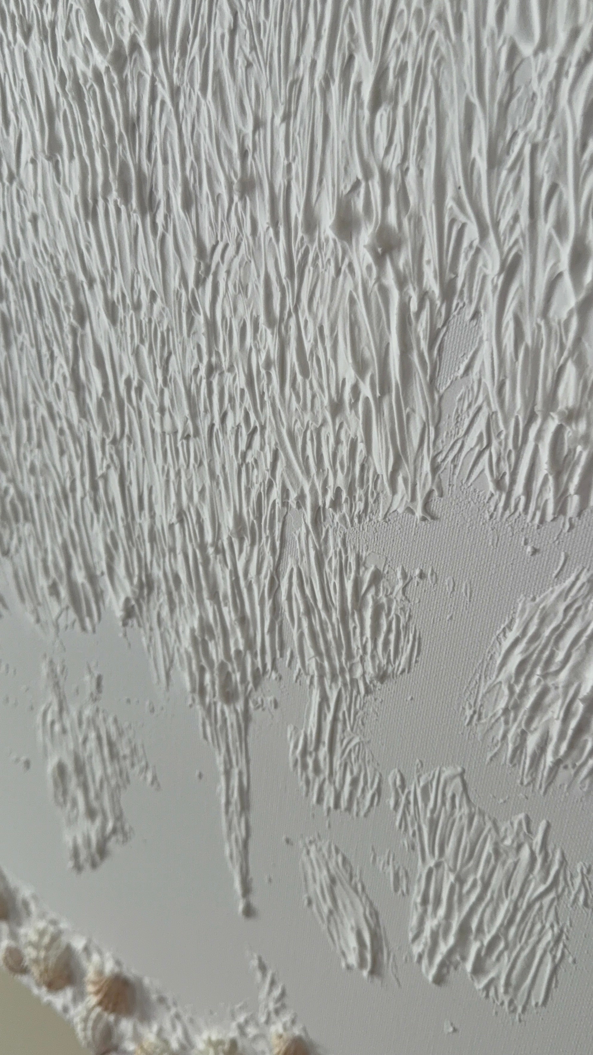 Spiny Shell ~ textured art
