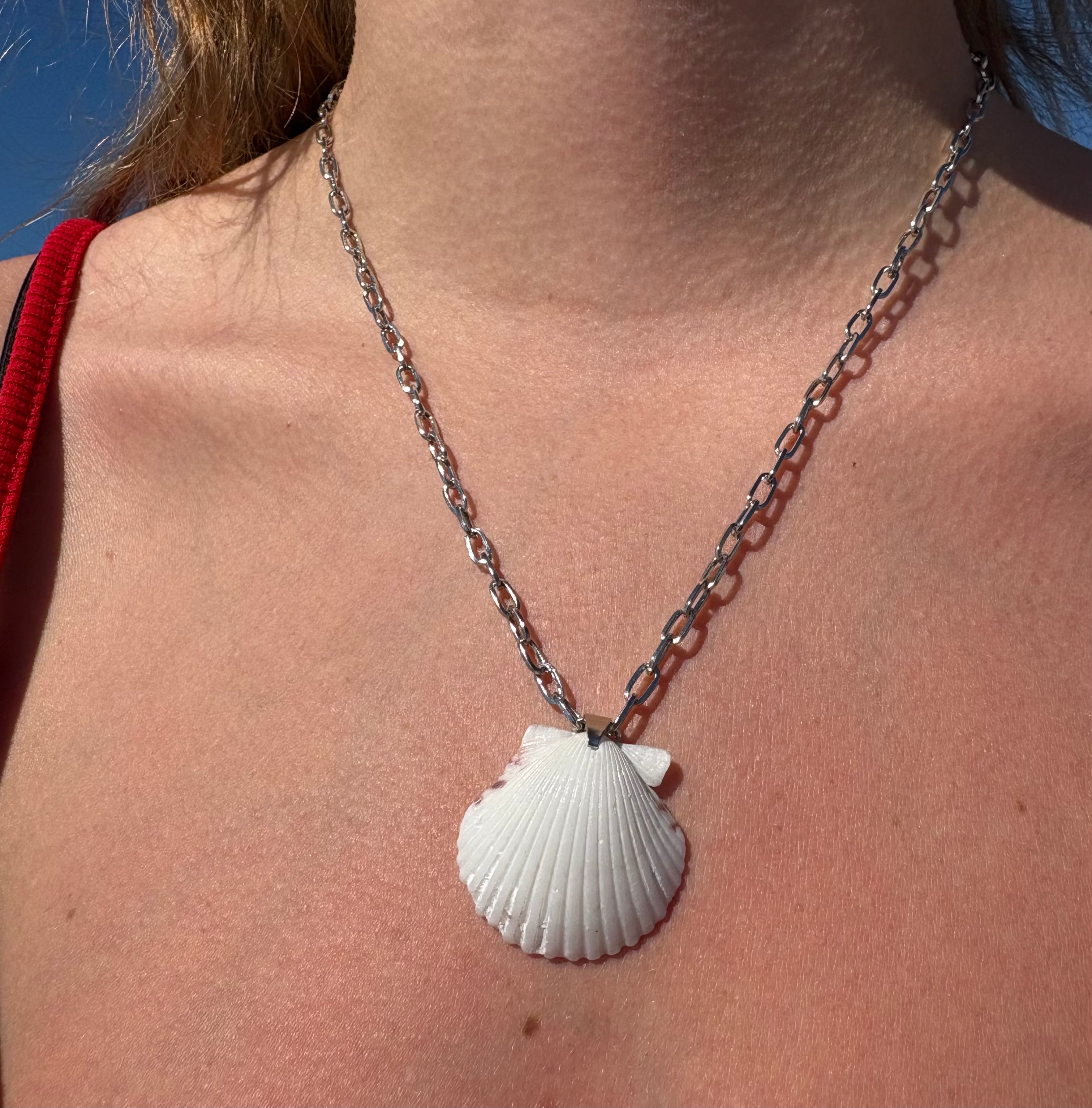 White Scallop, Silver Chain Necklace