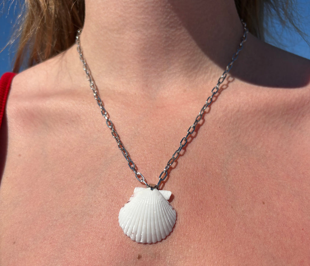 White Scallop, Silver Chain Necklace