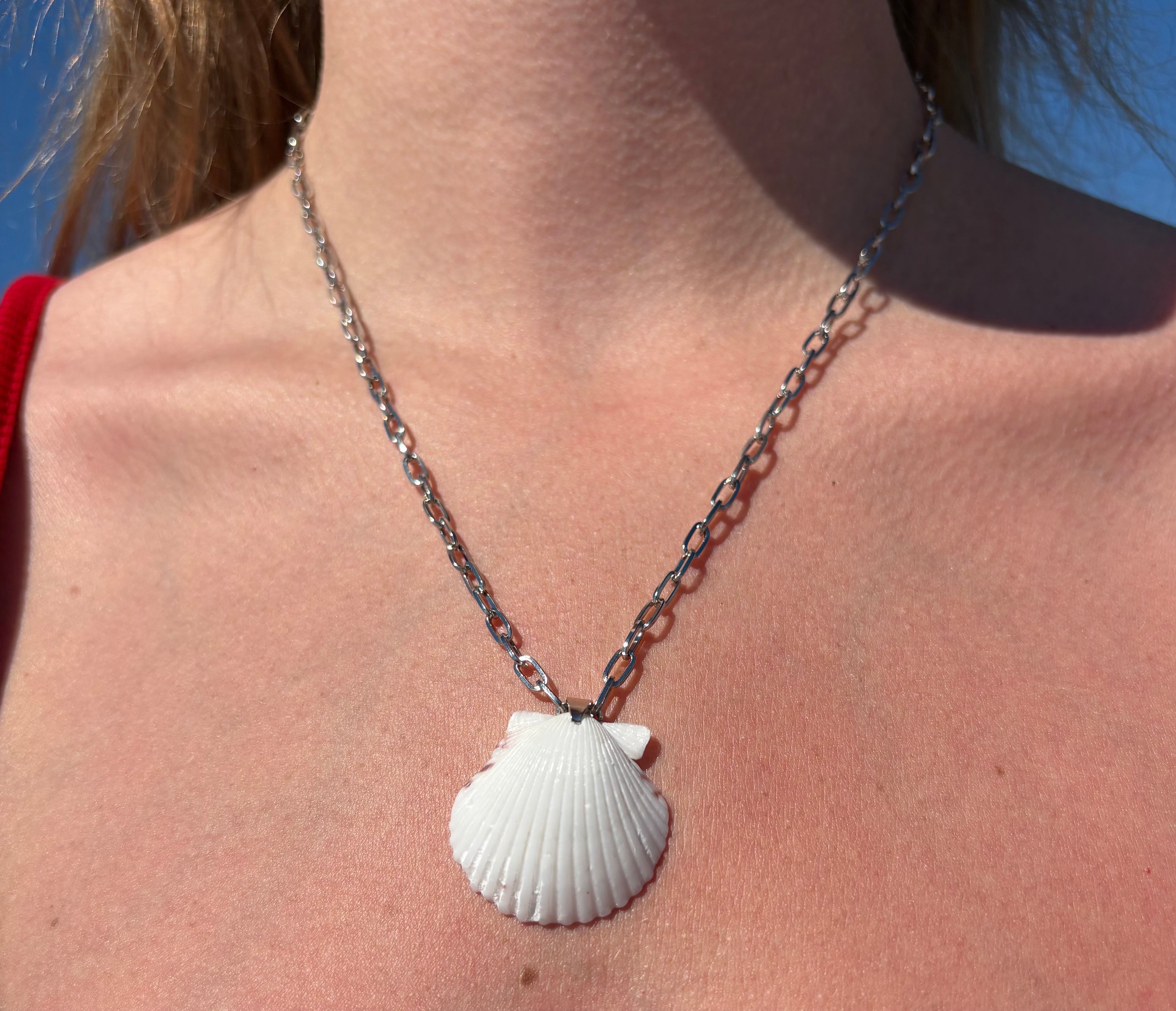 White Scallop, Silver Chain Necklace