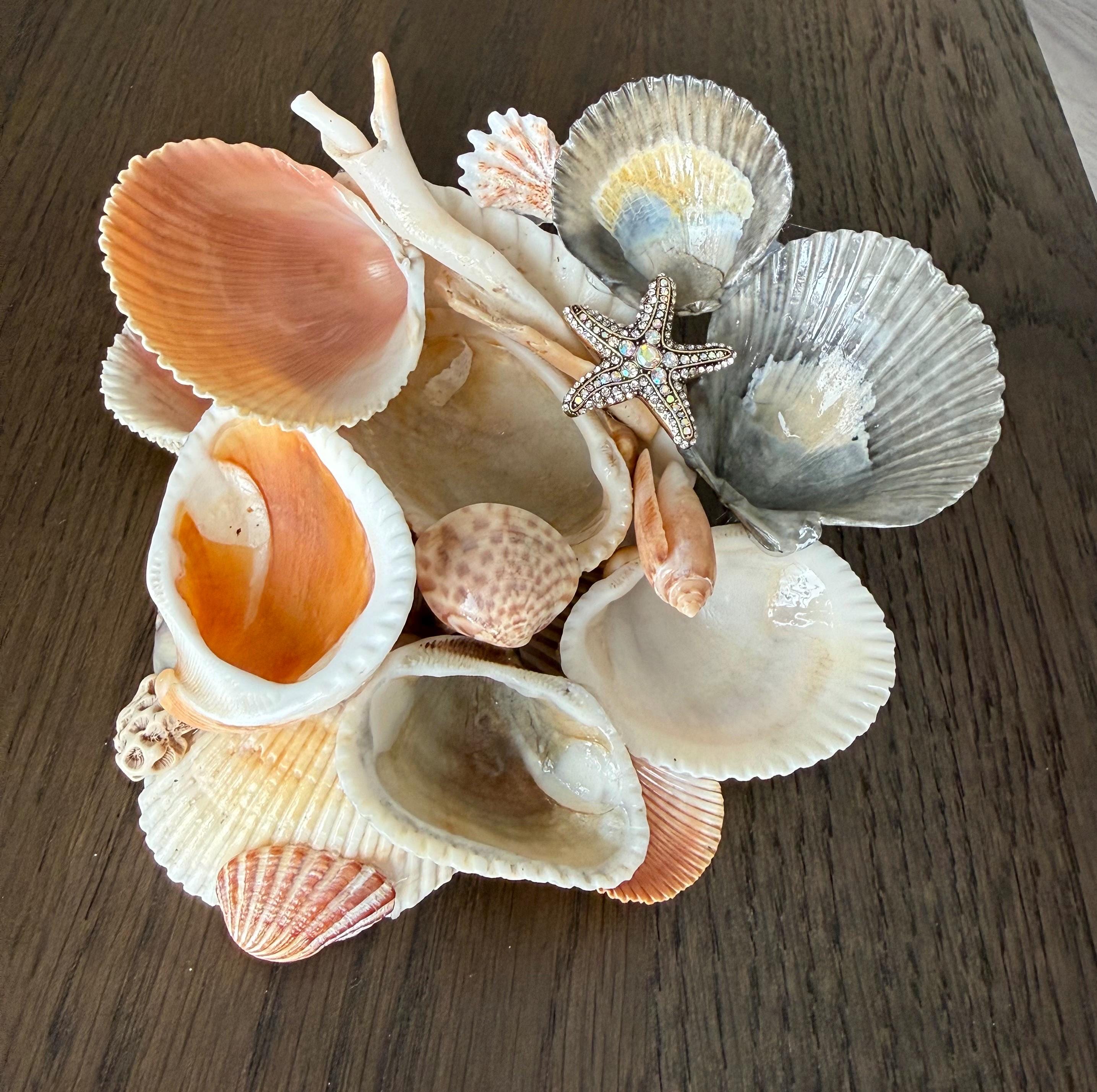 Jewelry Holder - Shell Decor, Color Variation