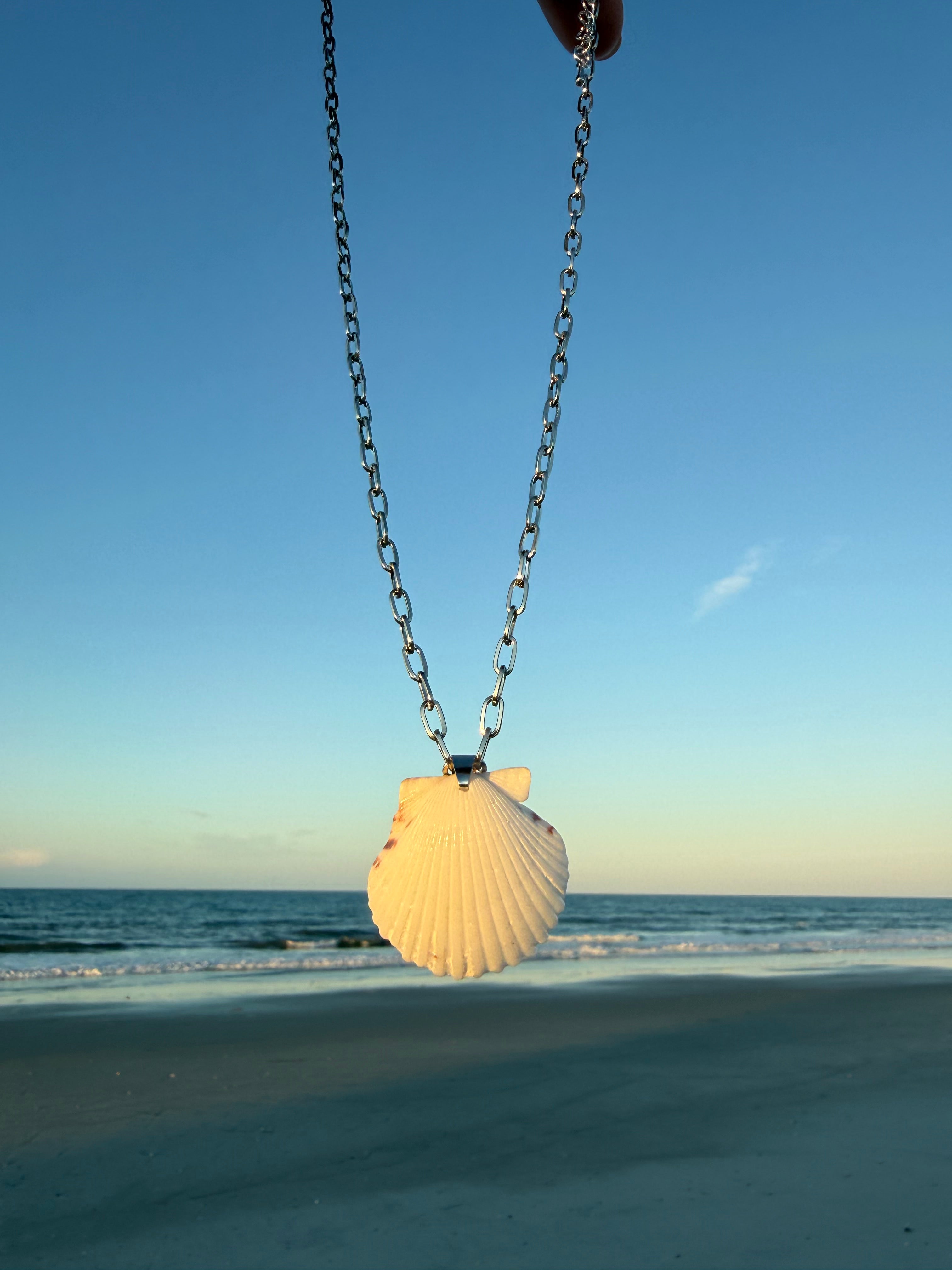 White Scallop, Silver Chain Necklace