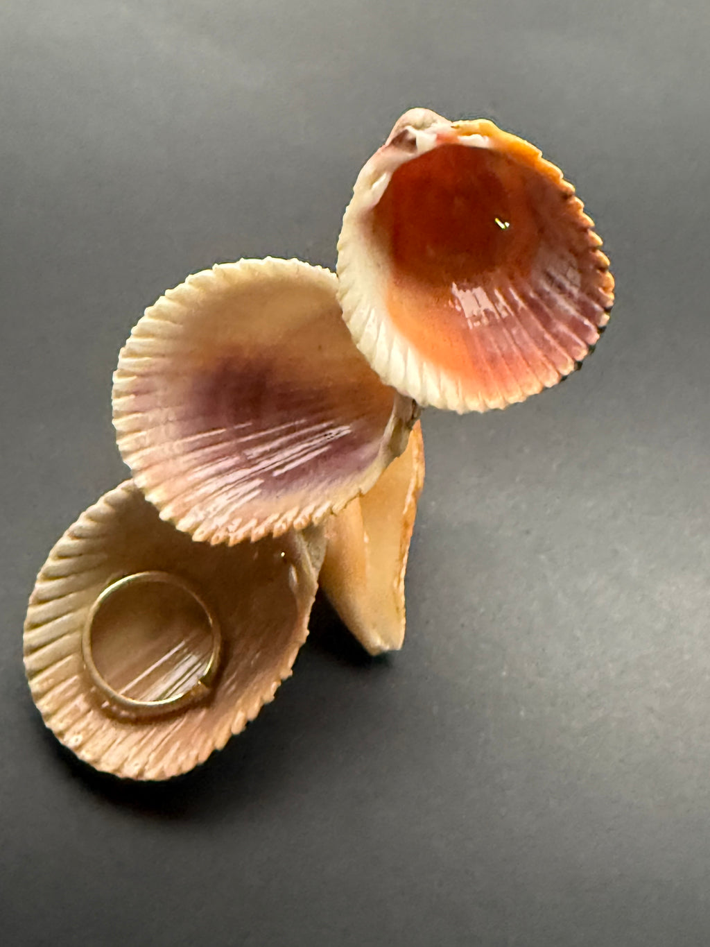 Color Shell Cascade