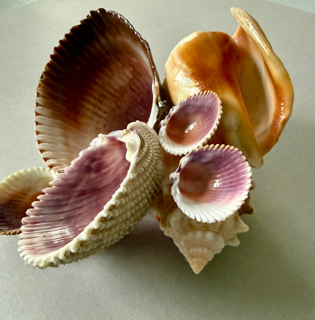 Deep Purple & Brown