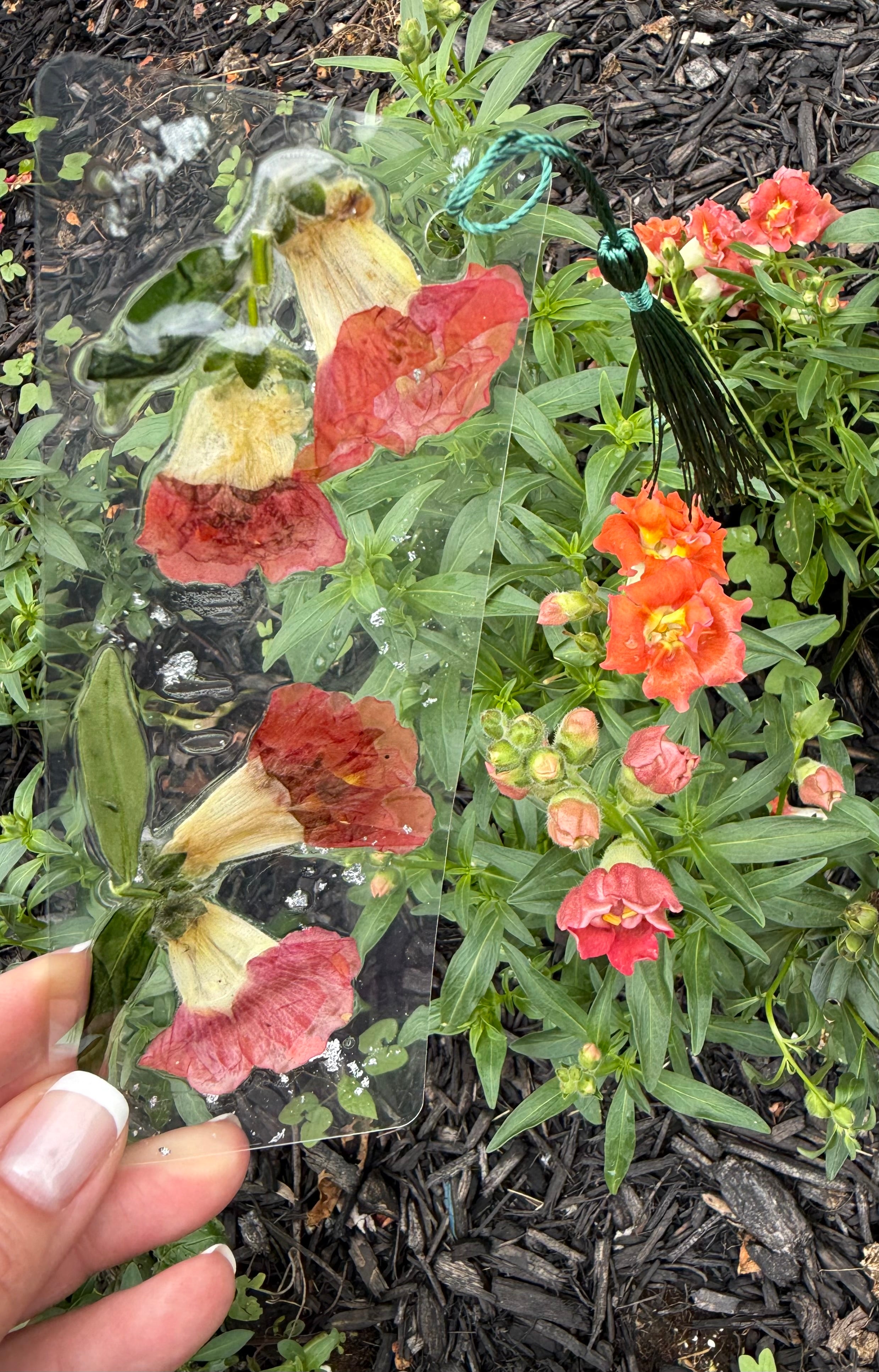 Red Snapdragon Bookmark