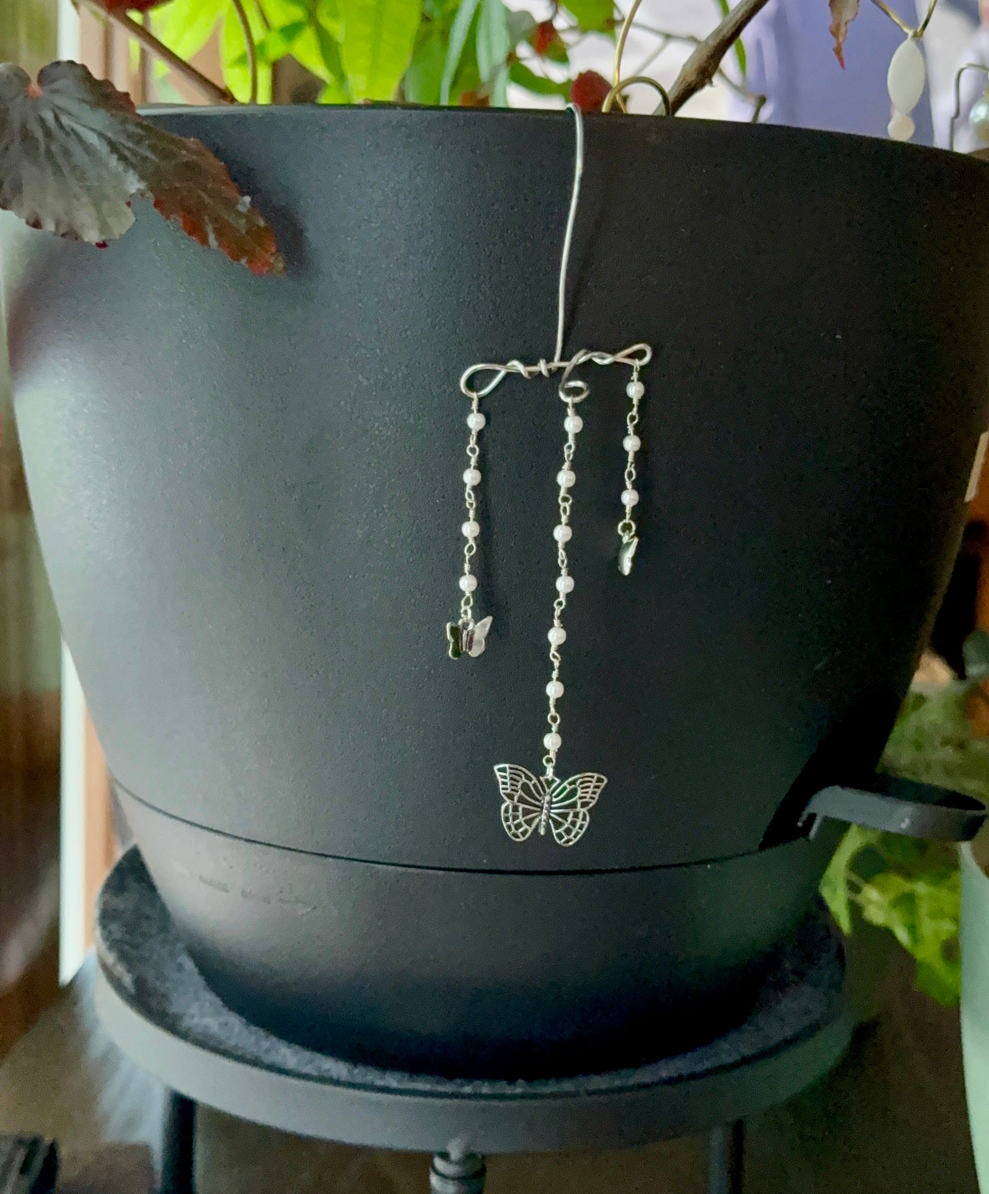 Butterfly Pearls