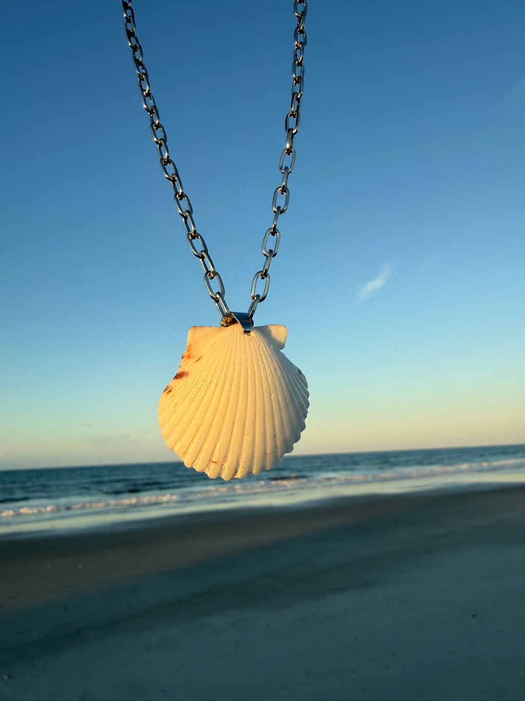 White Scallop, Silver Chain Necklace