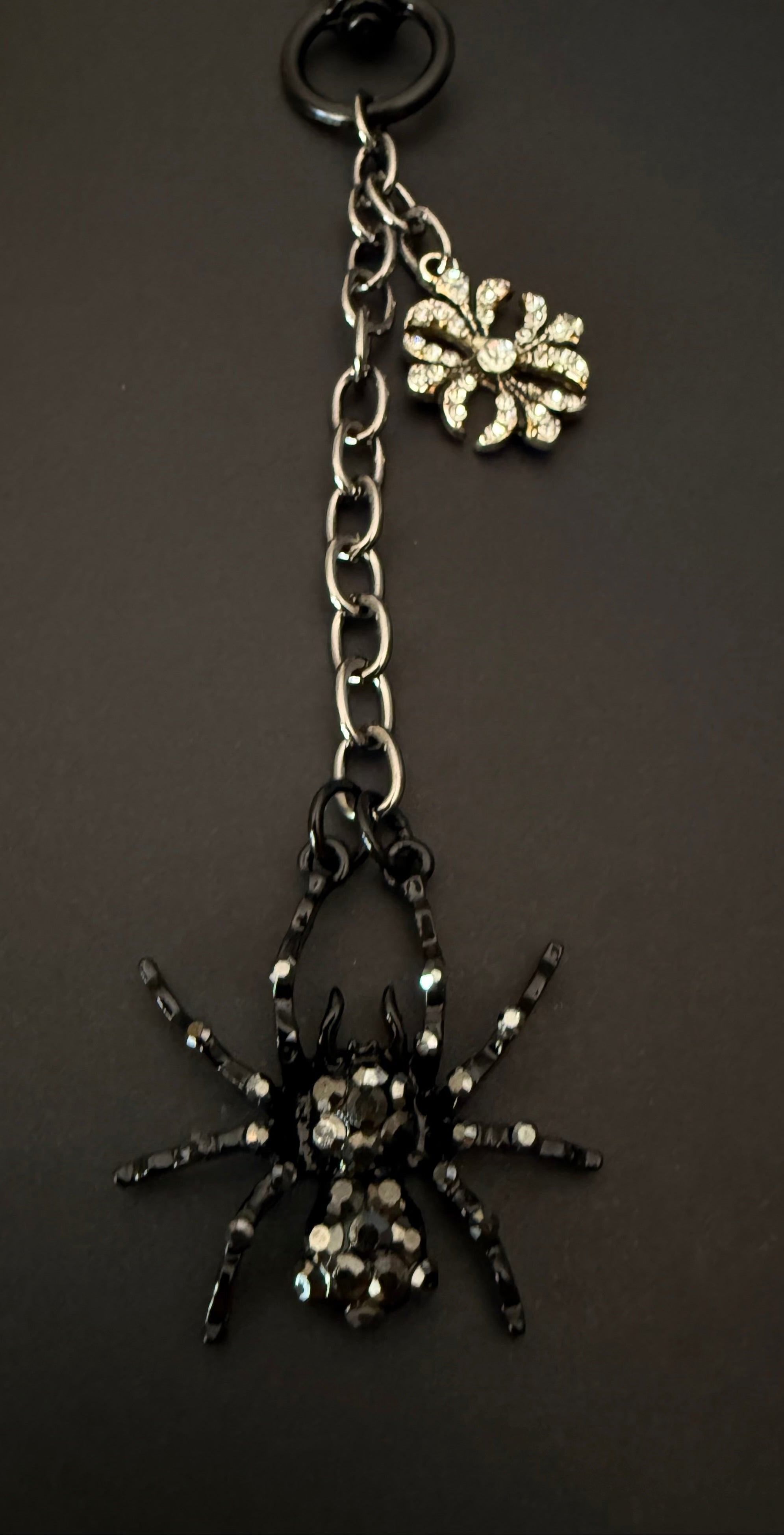 Black Spider & Charm
