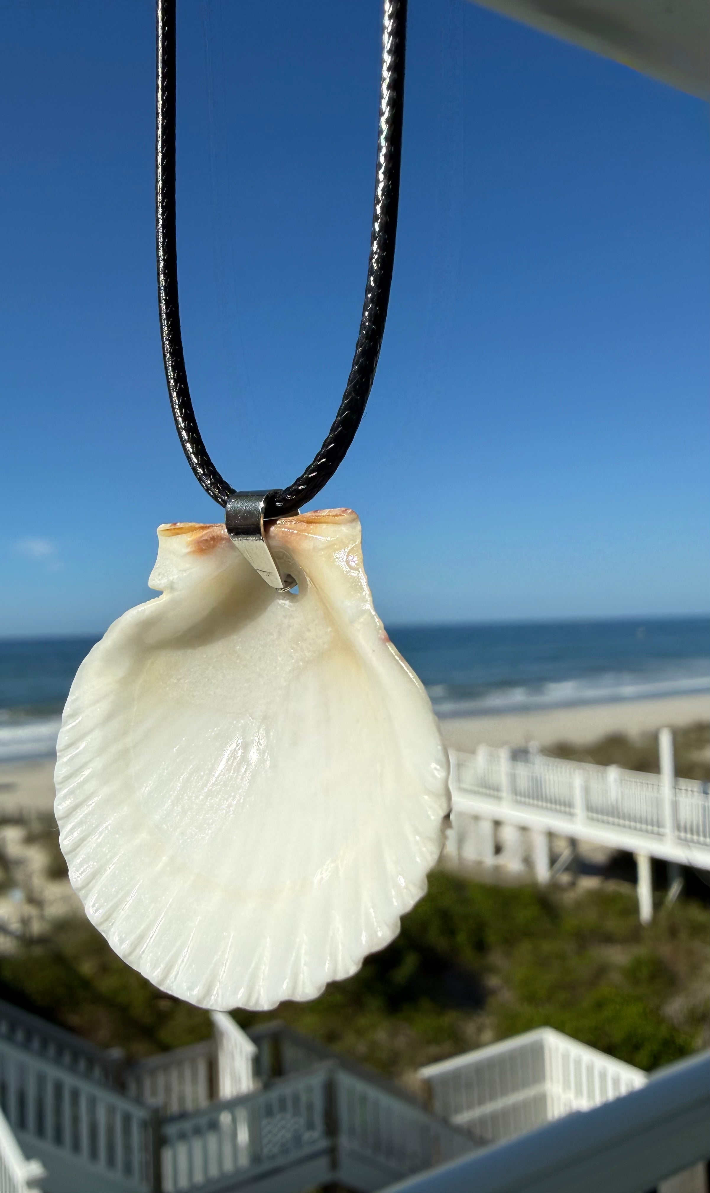 White Scallop Necklace, Black Cord