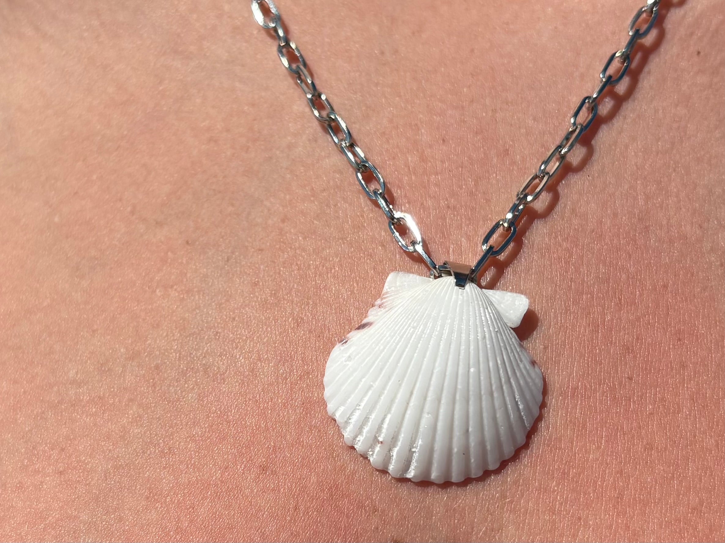 White Scallop, Silver Chain Necklace