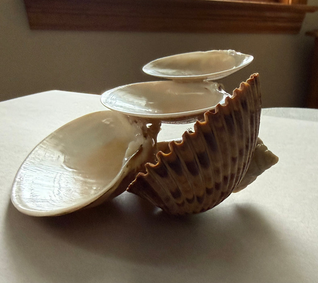 Balance