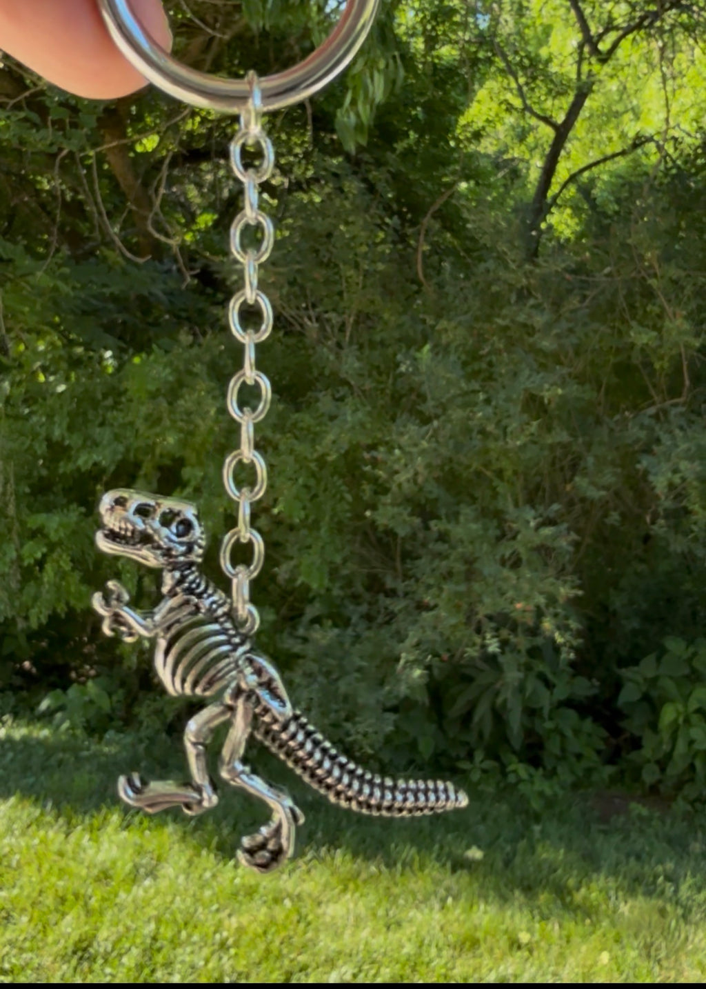 T Rex Key Chain