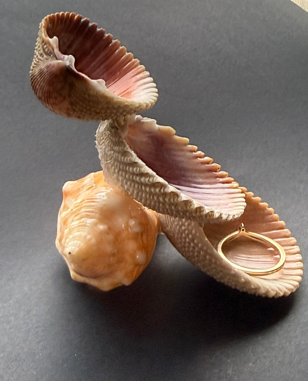 Color Shell Cascade