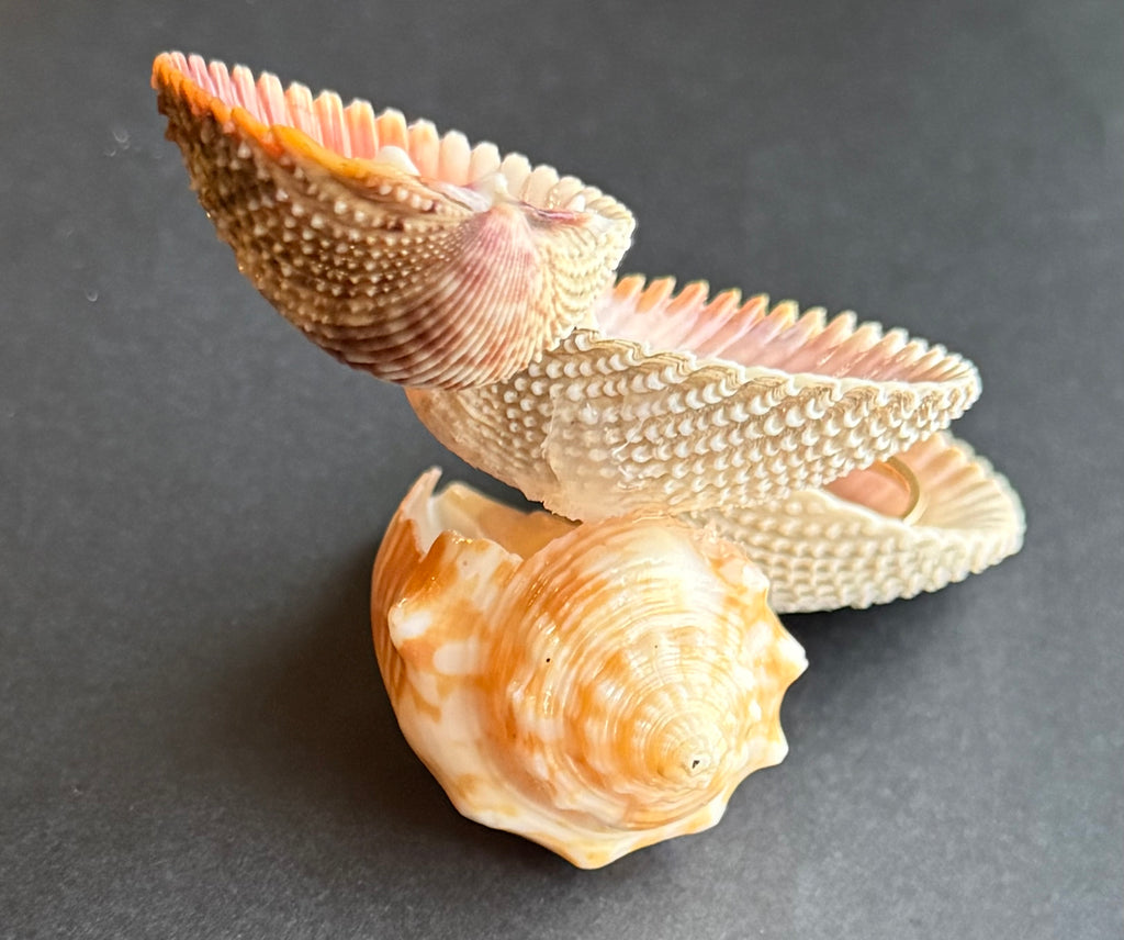 Color Shell Cascade