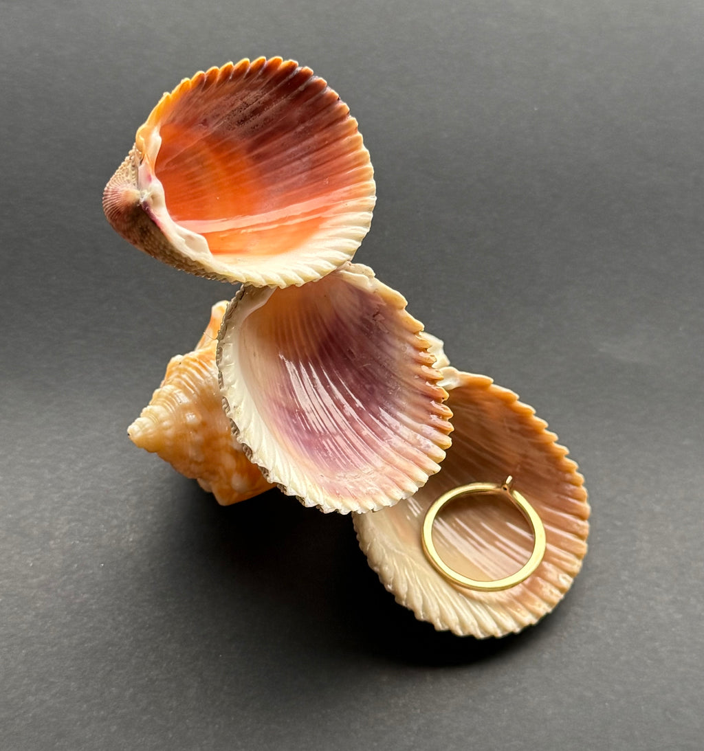 Color Shell Cascade