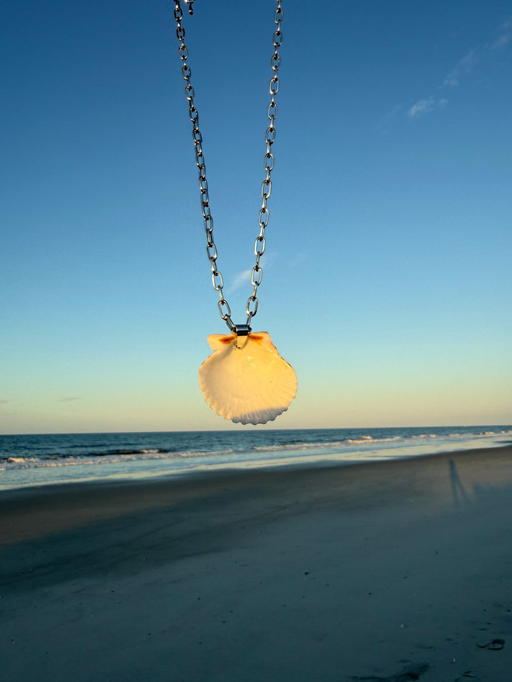 White Scallop, Silver Chain Necklace