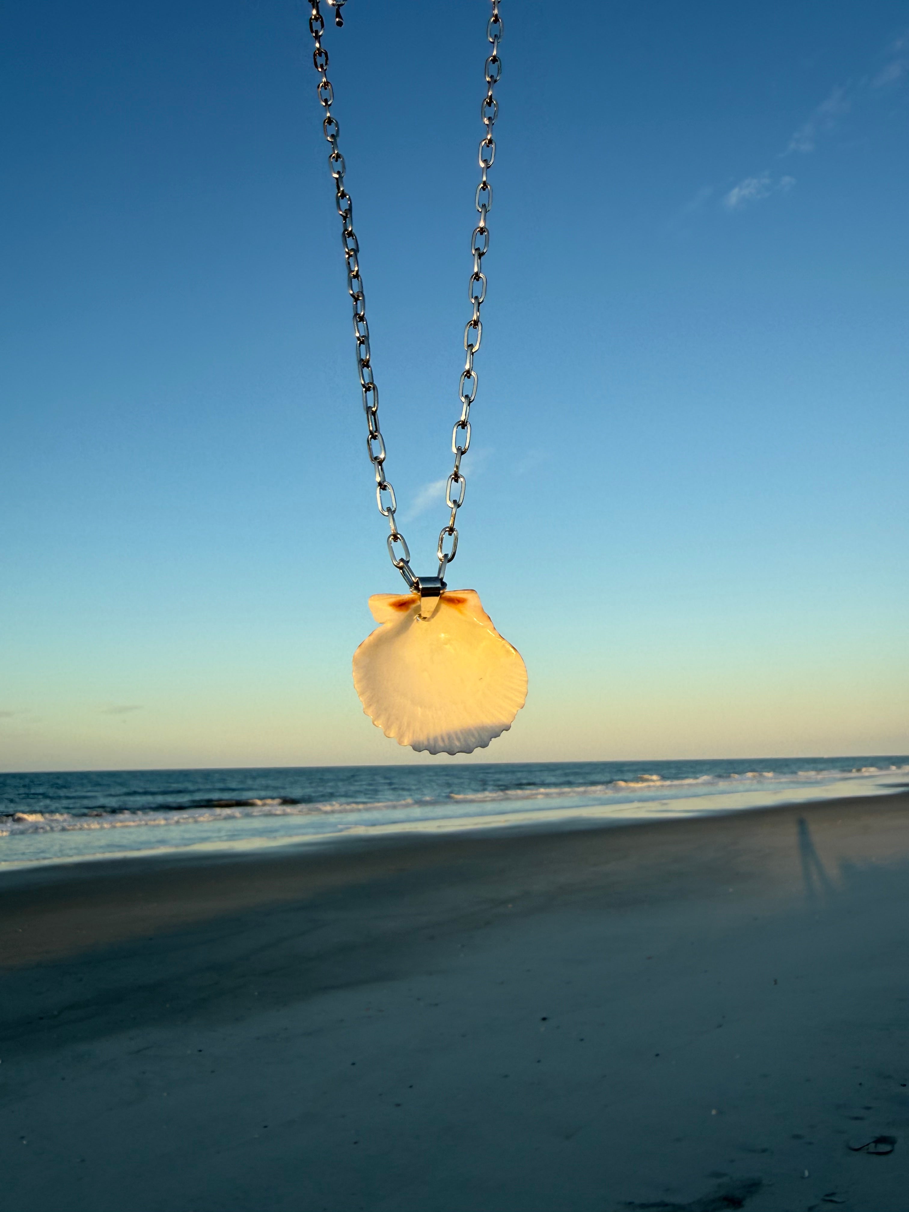 White Scallop, Silver Chain Necklace