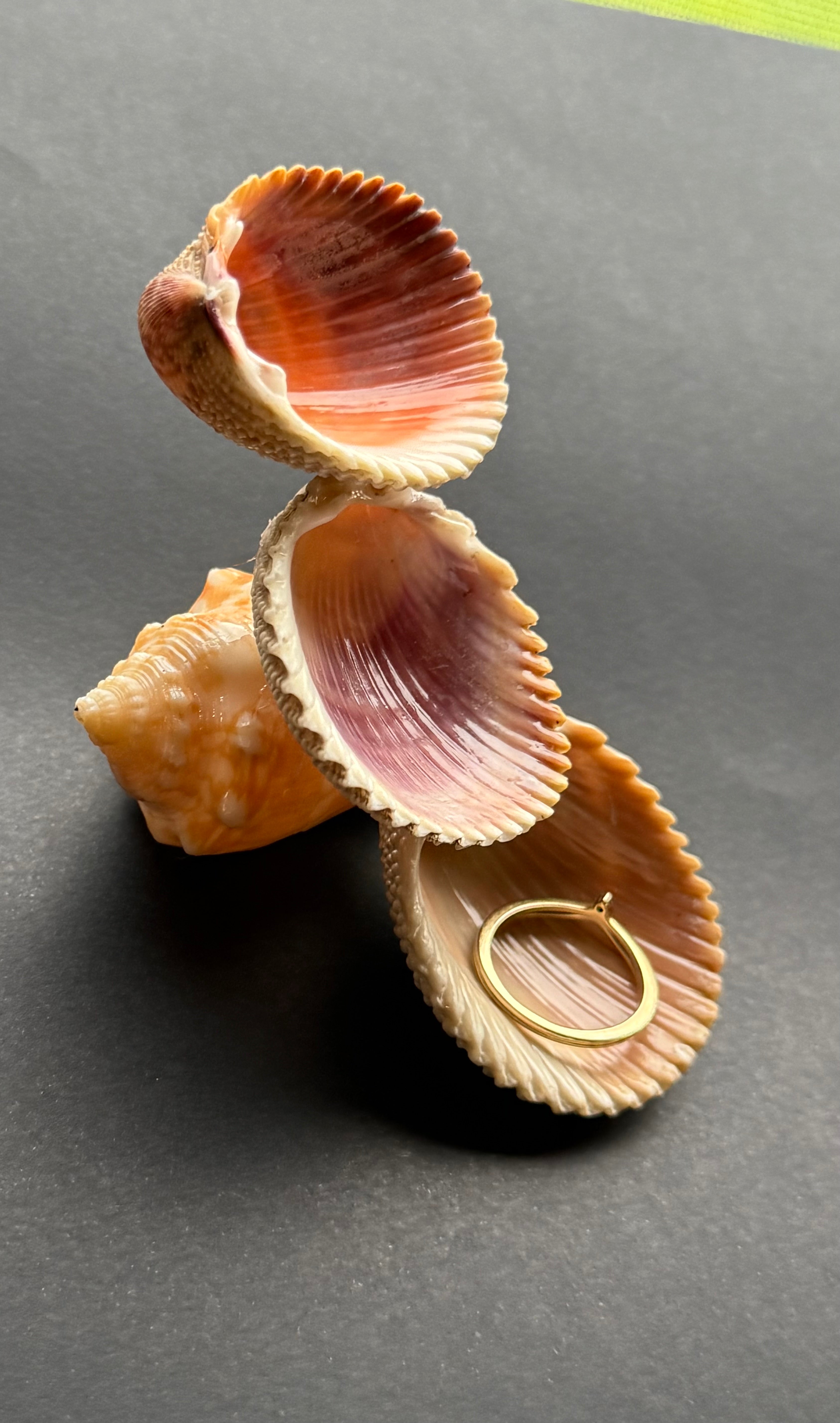 Color Shell Cascade