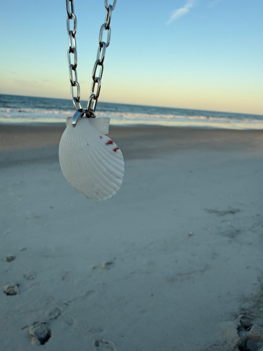 White Scallop, Silver Chain Necklace