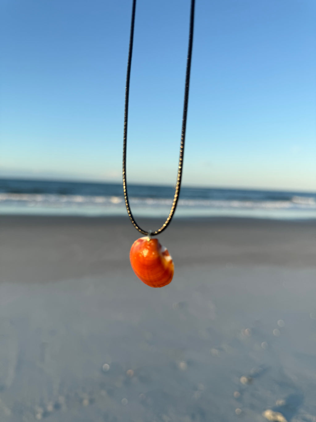 Brown Shell Necklace