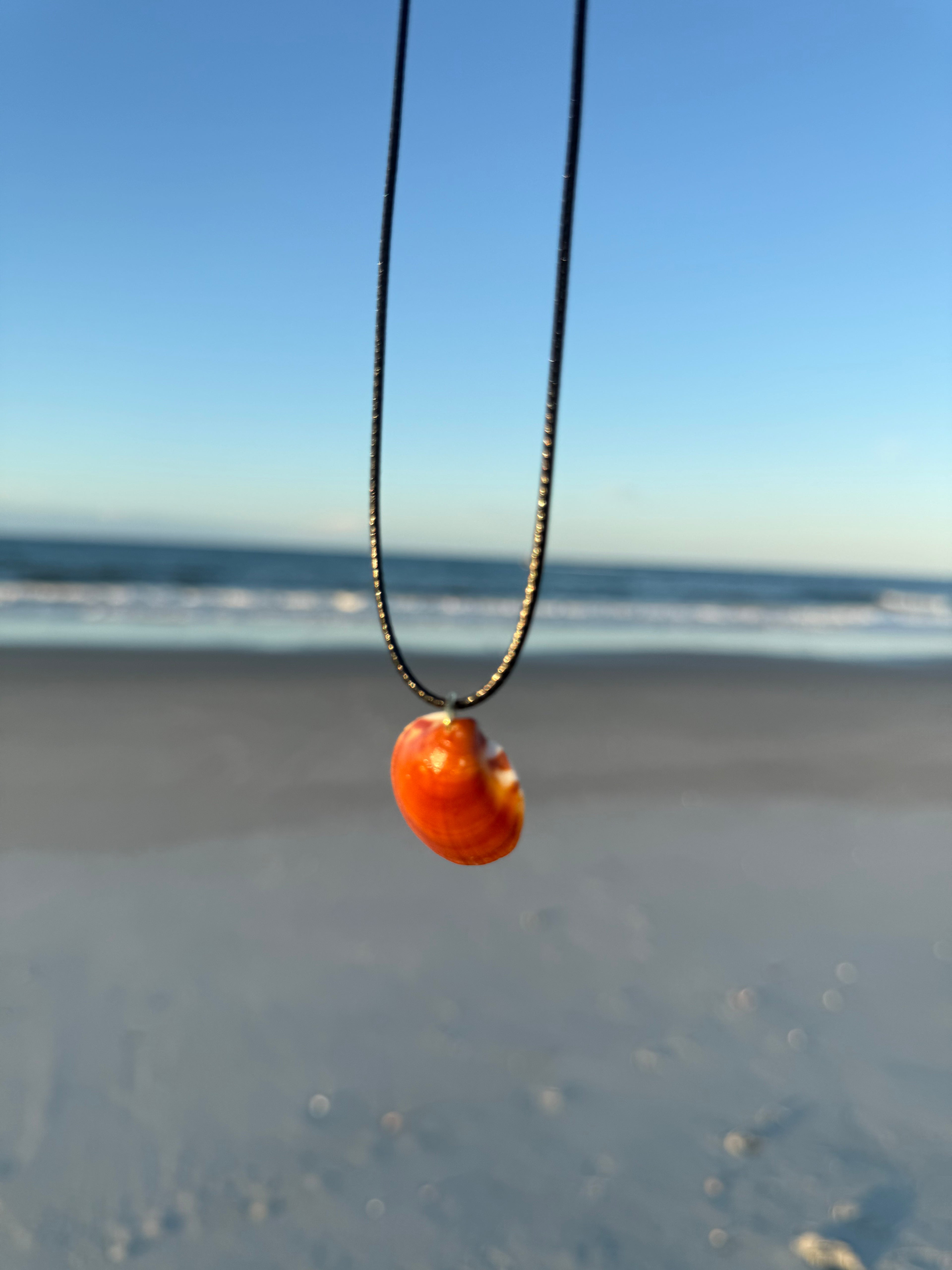 Brown Shell Necklace