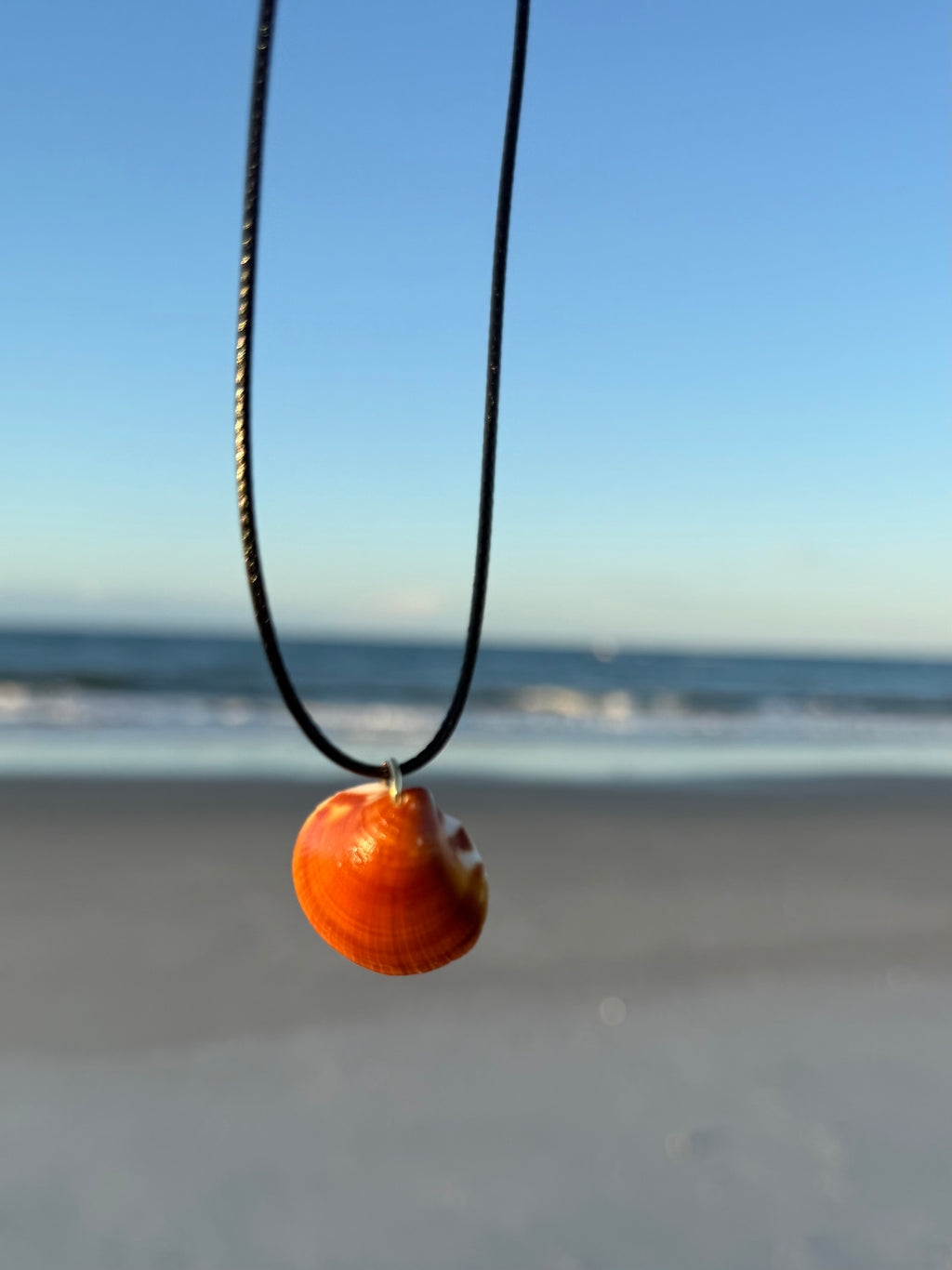 Brown Shell Necklace