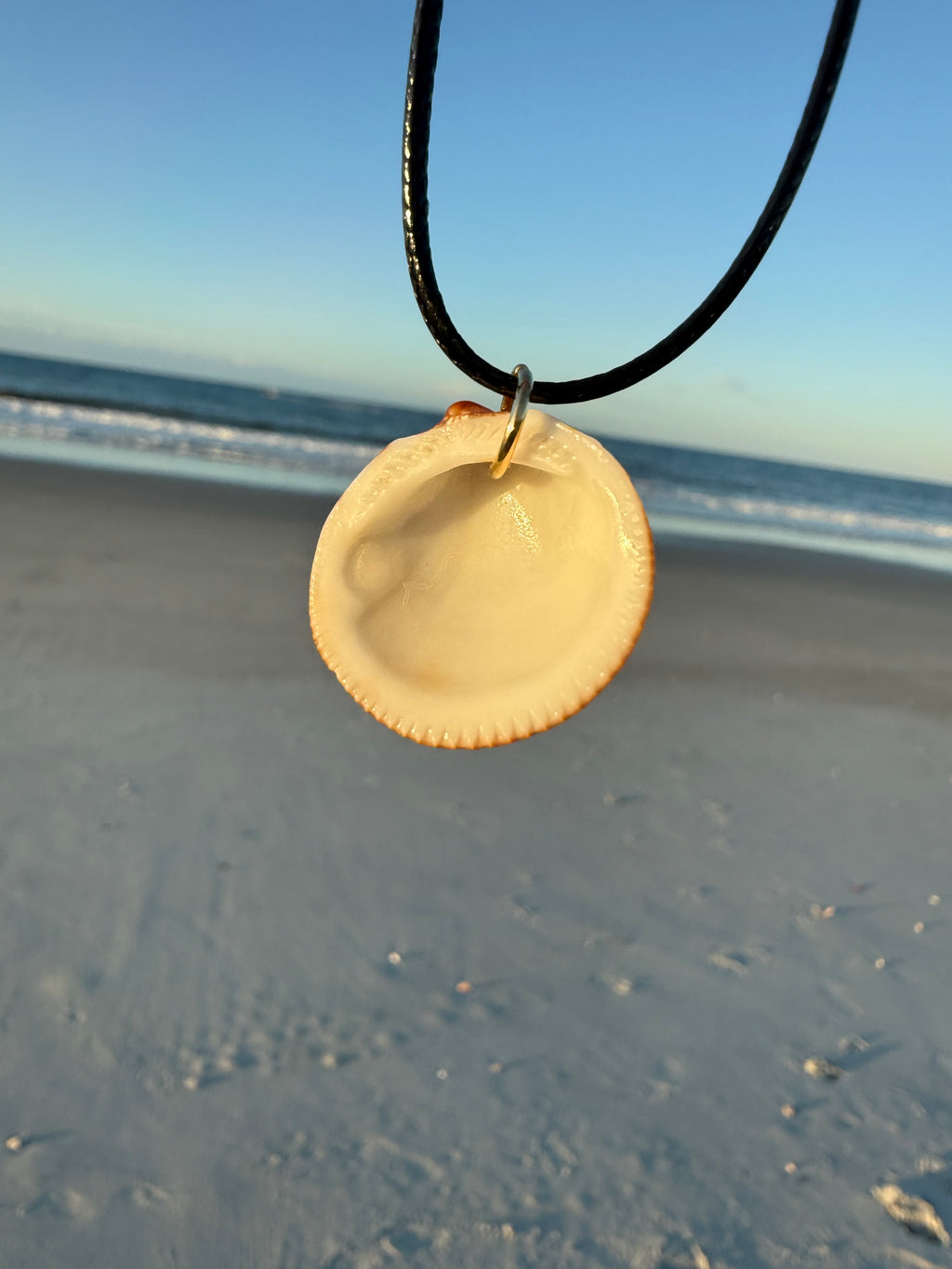 Brown Shell Necklace