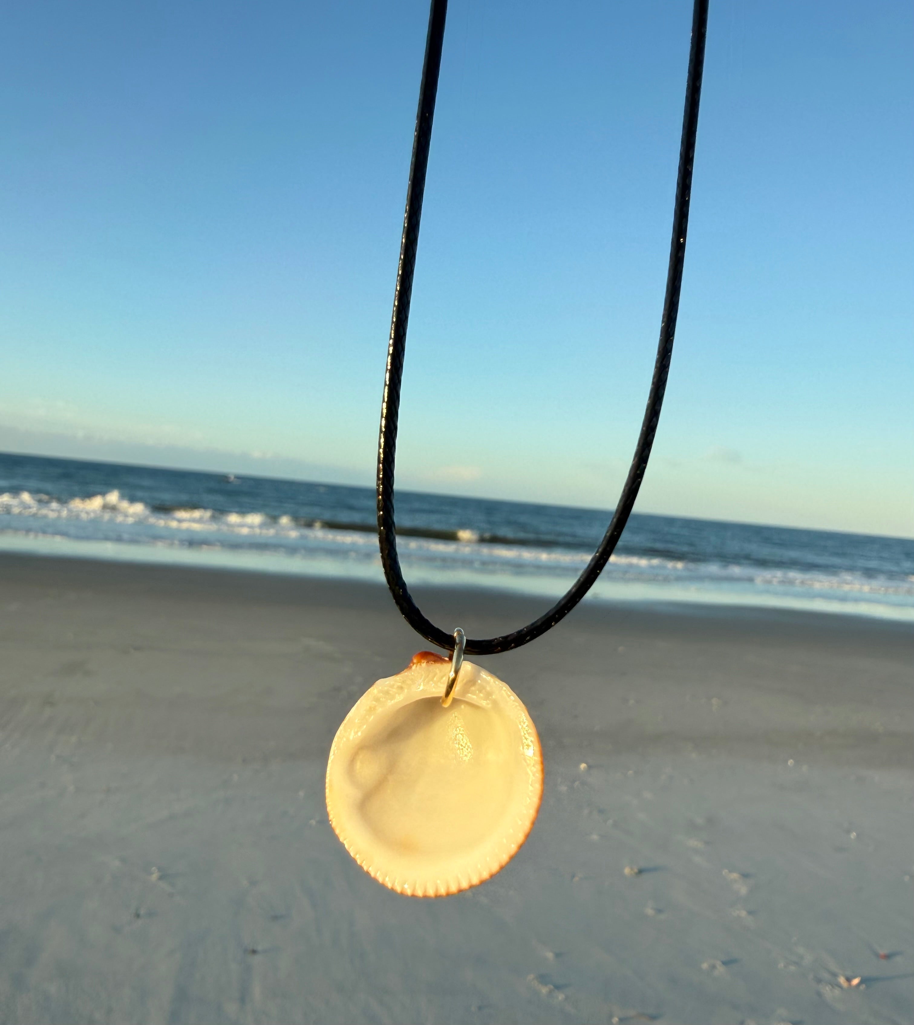 Brown Shell Necklace