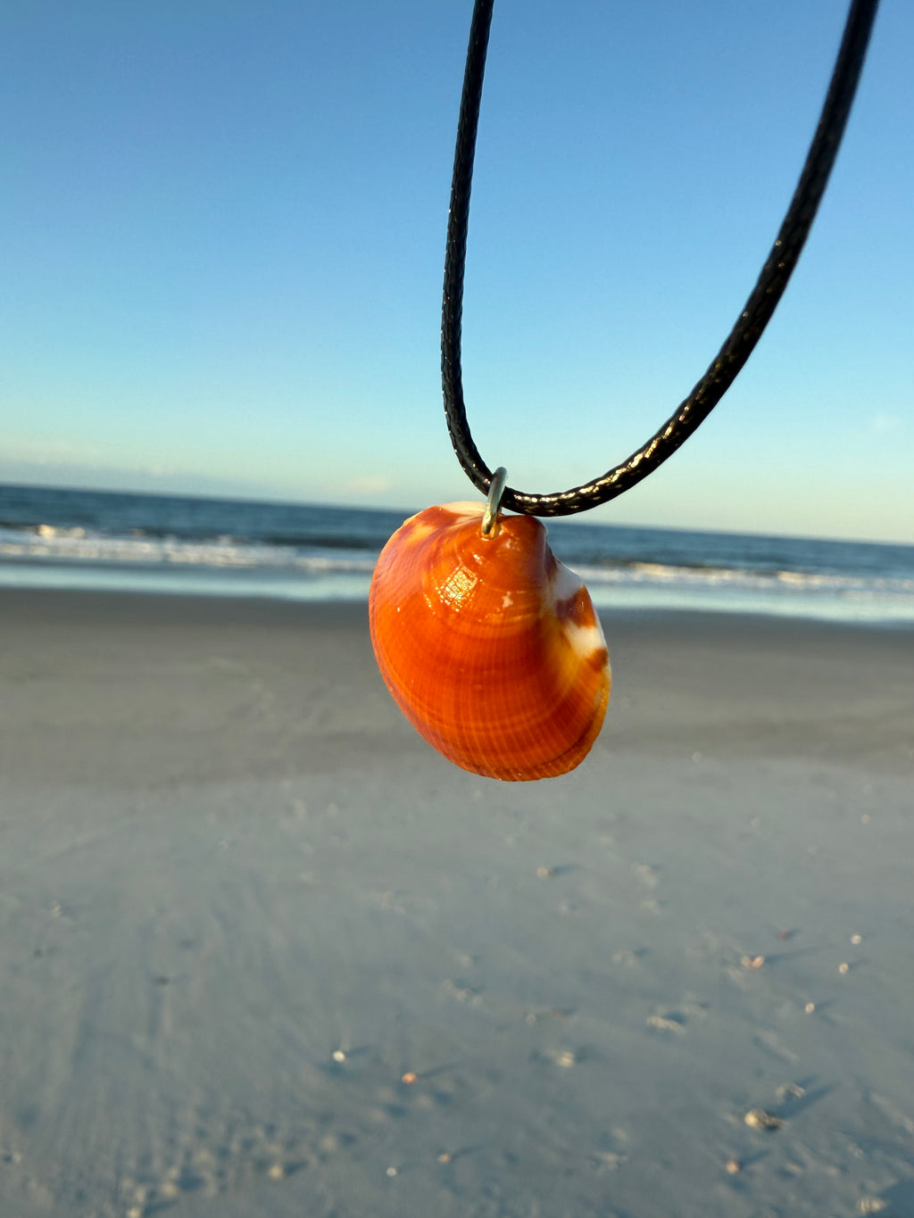 Brown Shell Necklace