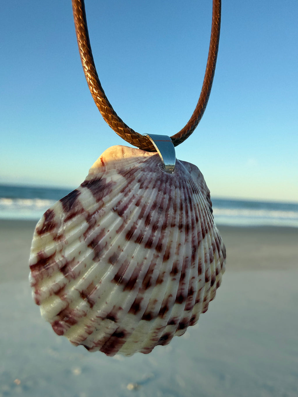 Pink Scallop Necklace
