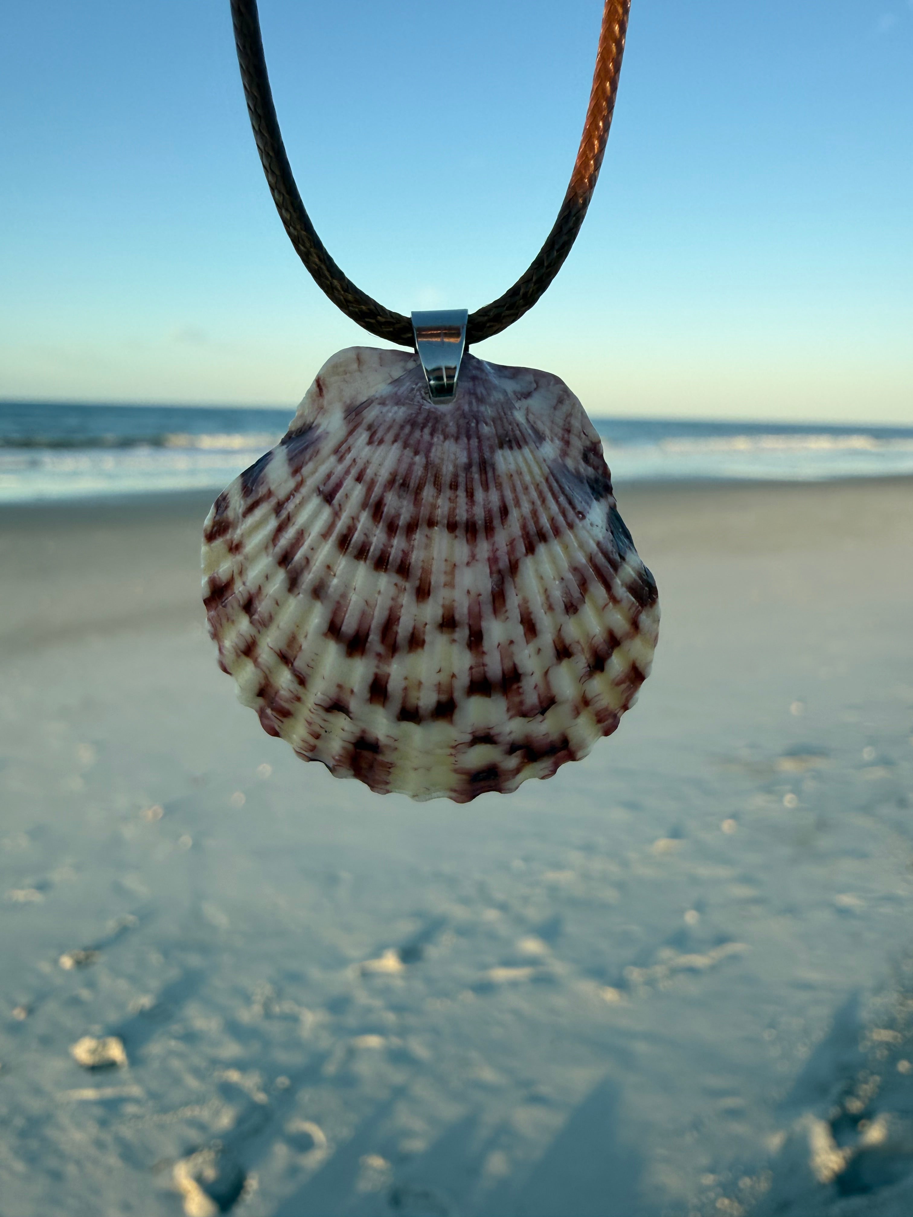 Pink Scallop Necklace
