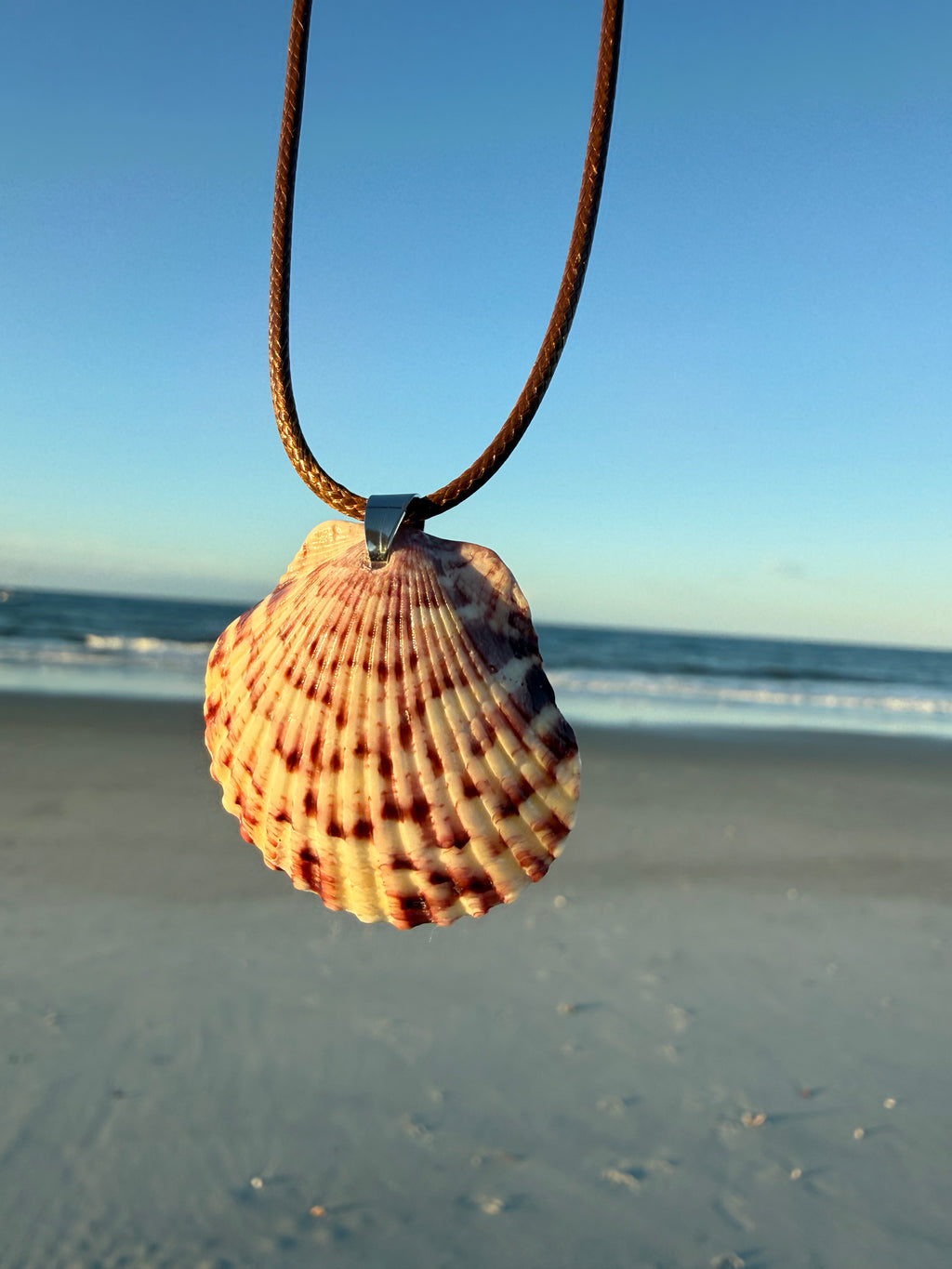 Pink Scallop Necklace