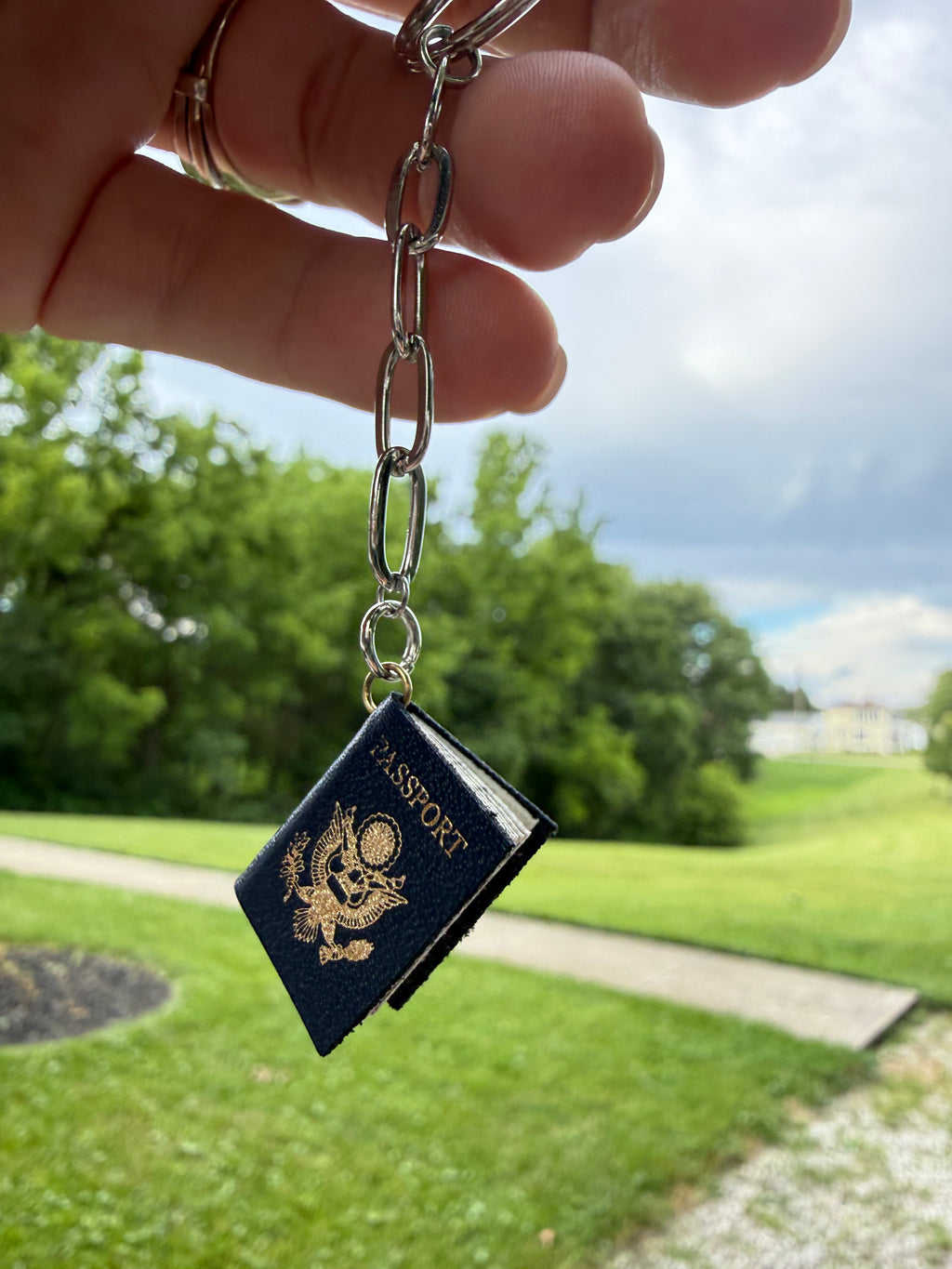 Passport ~ Manifest It