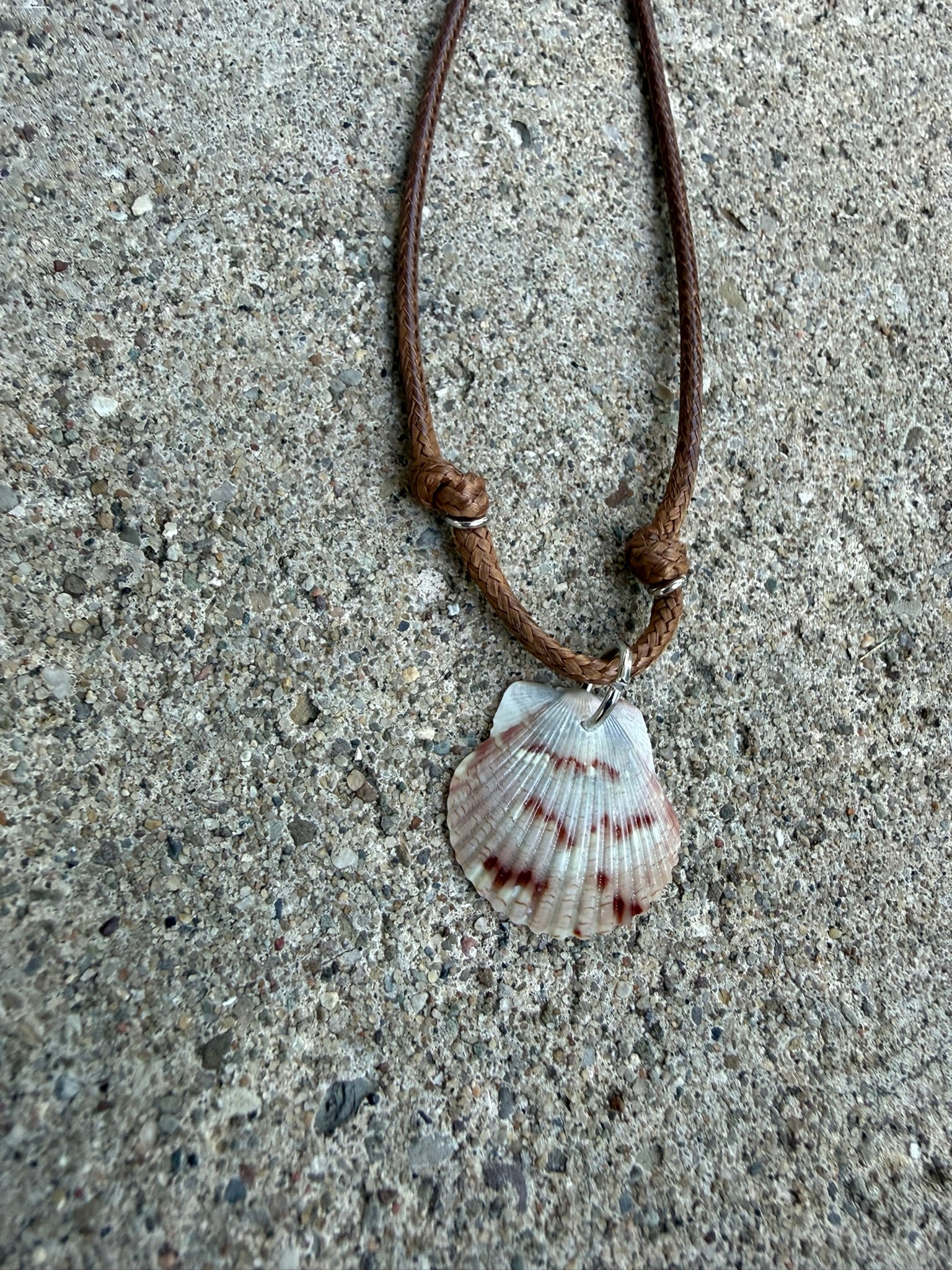 Anklet/Bracelet ~ Brown Shell, Brown Cord