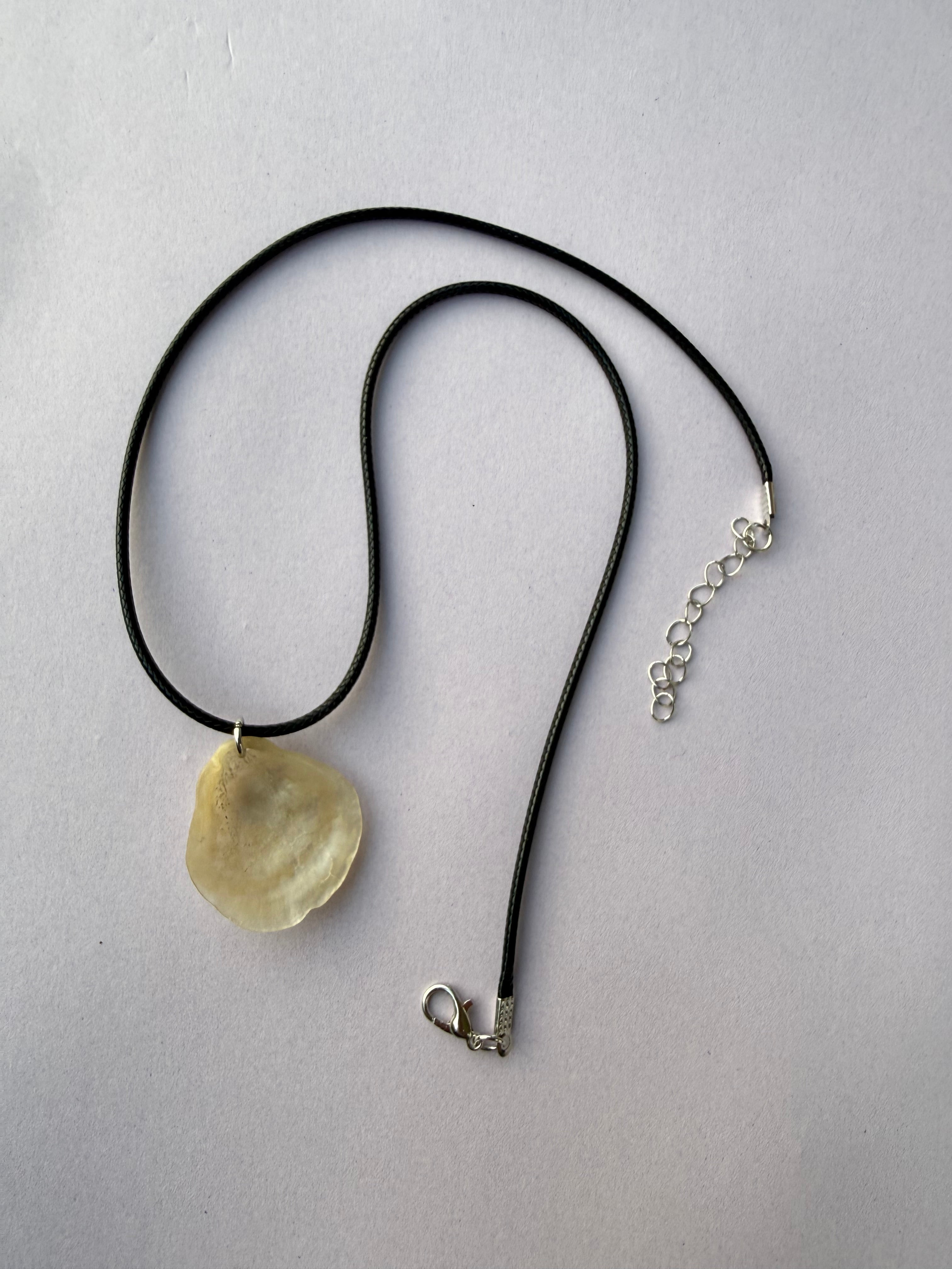 Jingle Shell Necklace