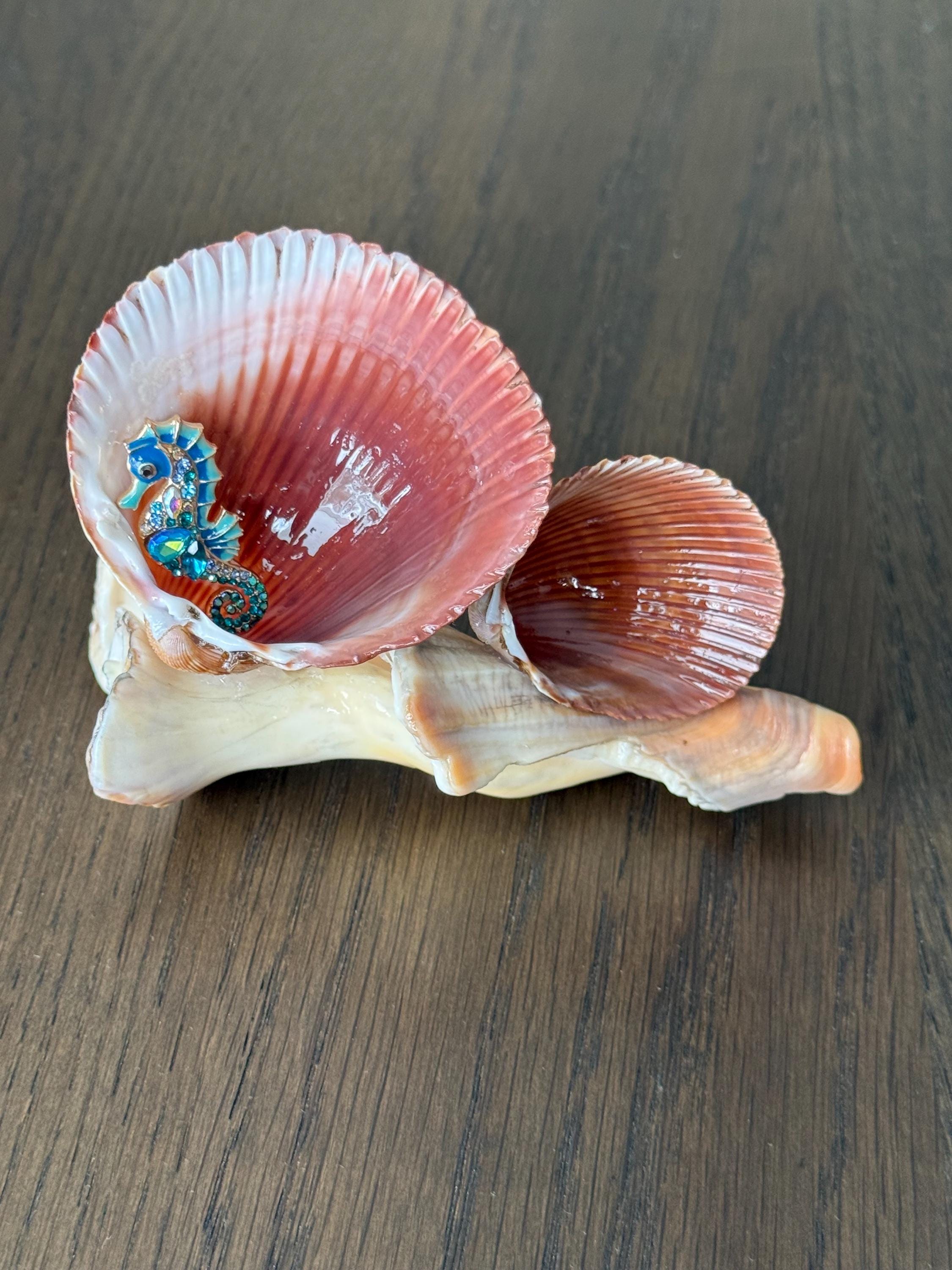 Shell Decor - Seahorse optional