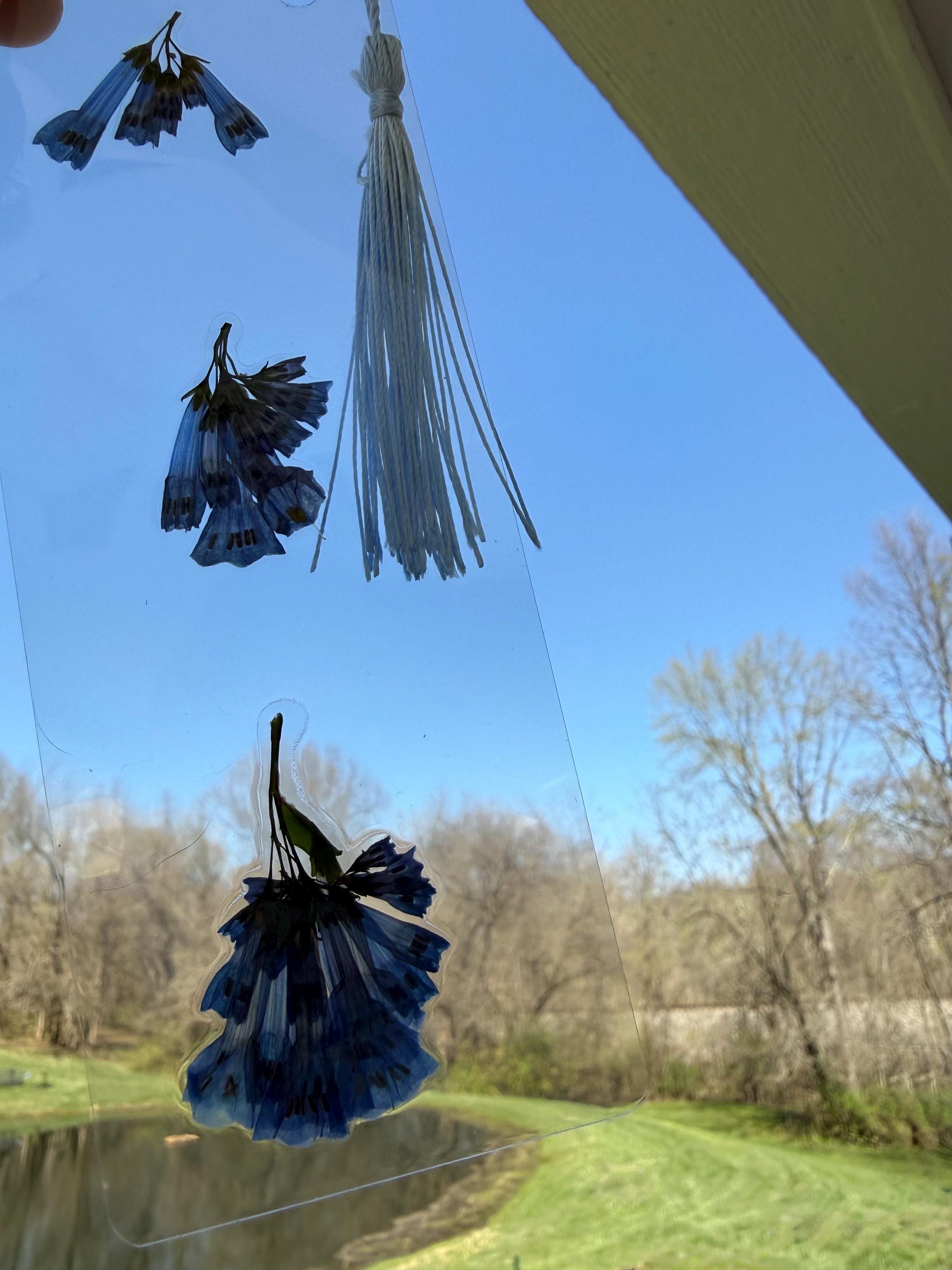 Flower Bookmarks - Blue Bell Pressed Flowers