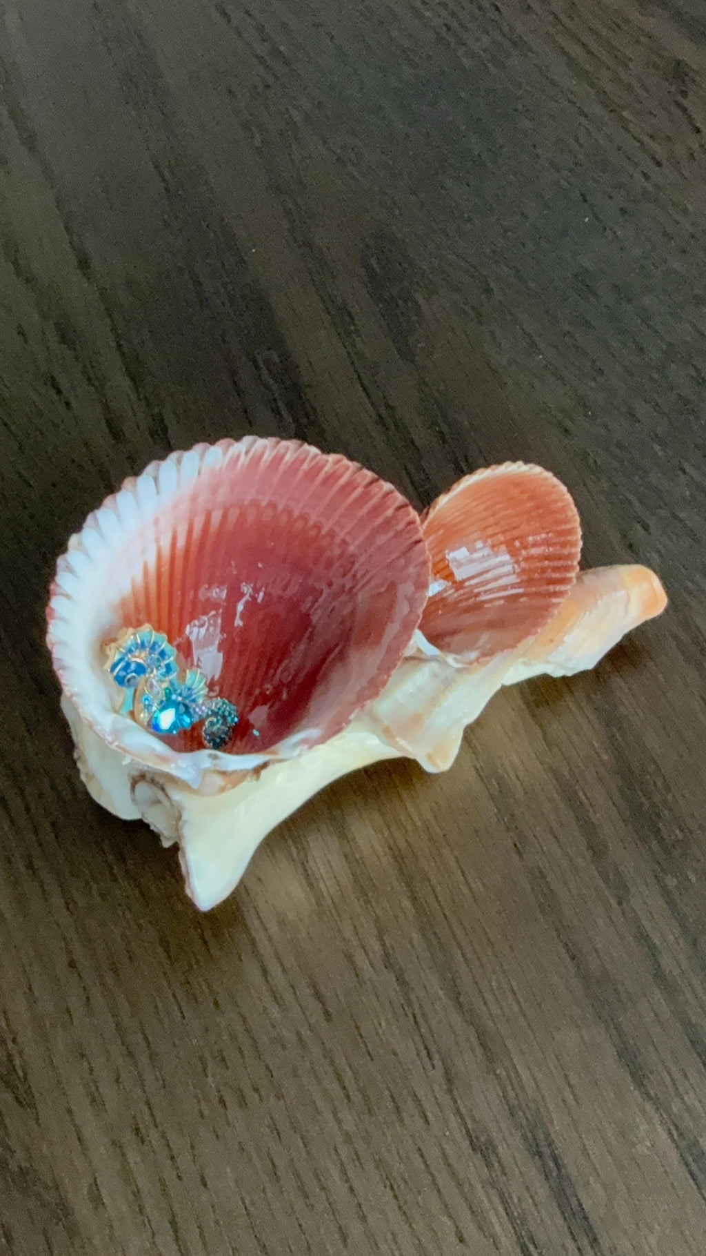 Shell Decor - Seahorse optional