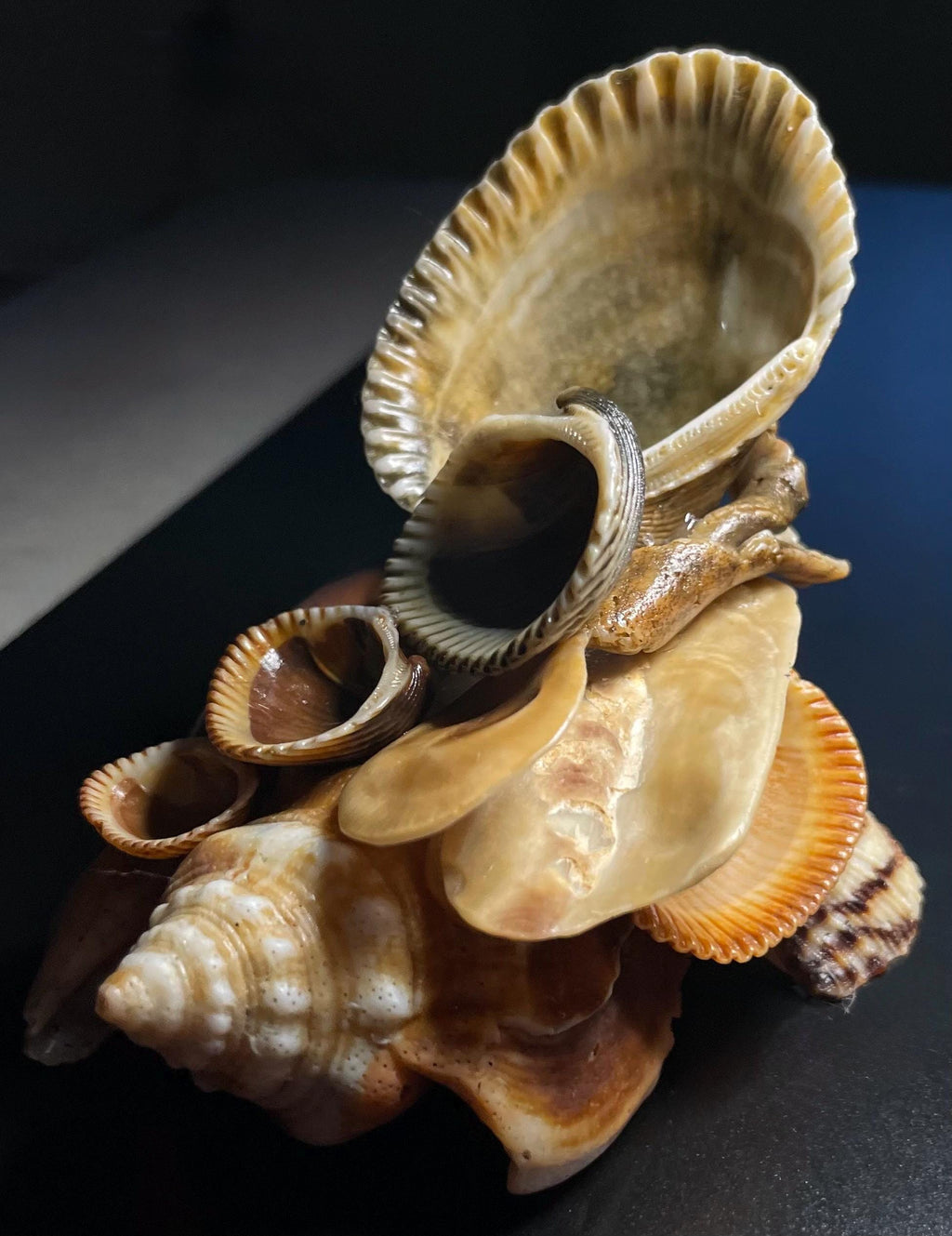 Authentic Cascading Shell Decor – Ring Holder